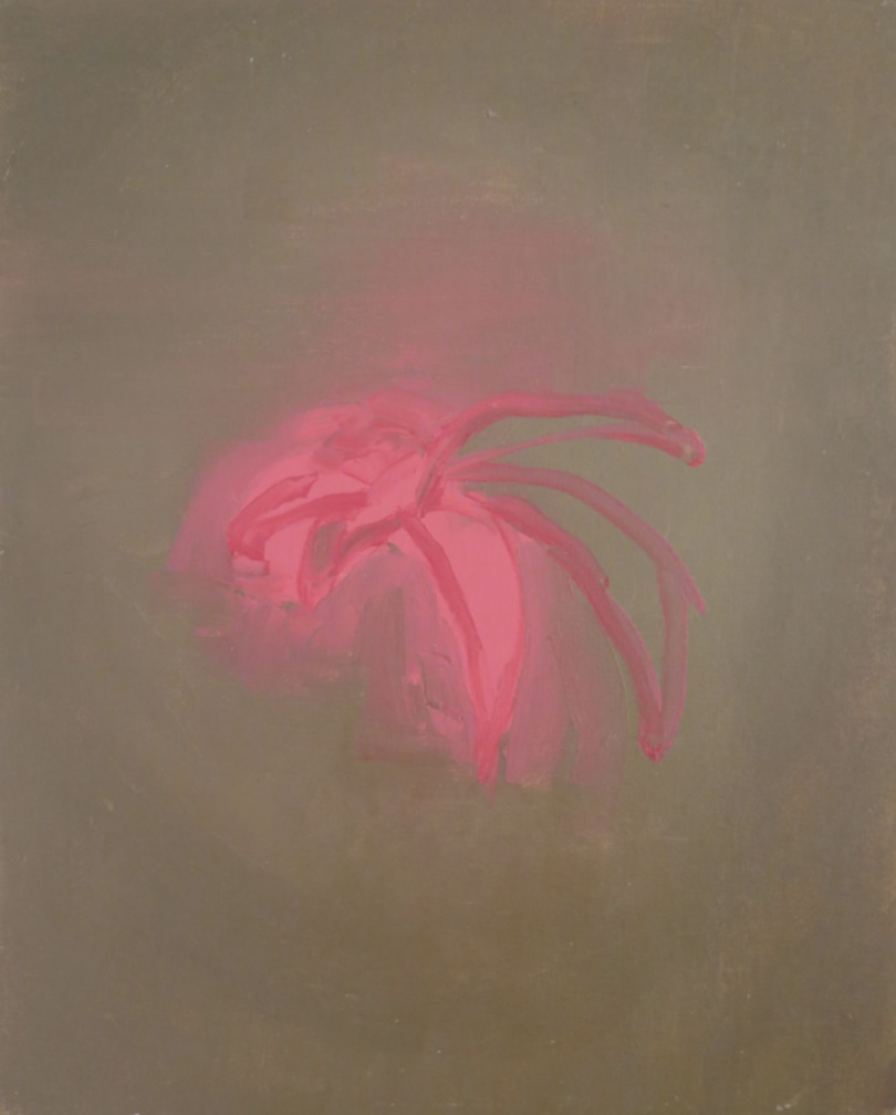 Untitled #3, série Flowers