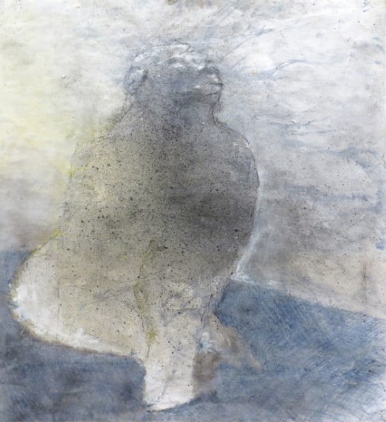 Evasion