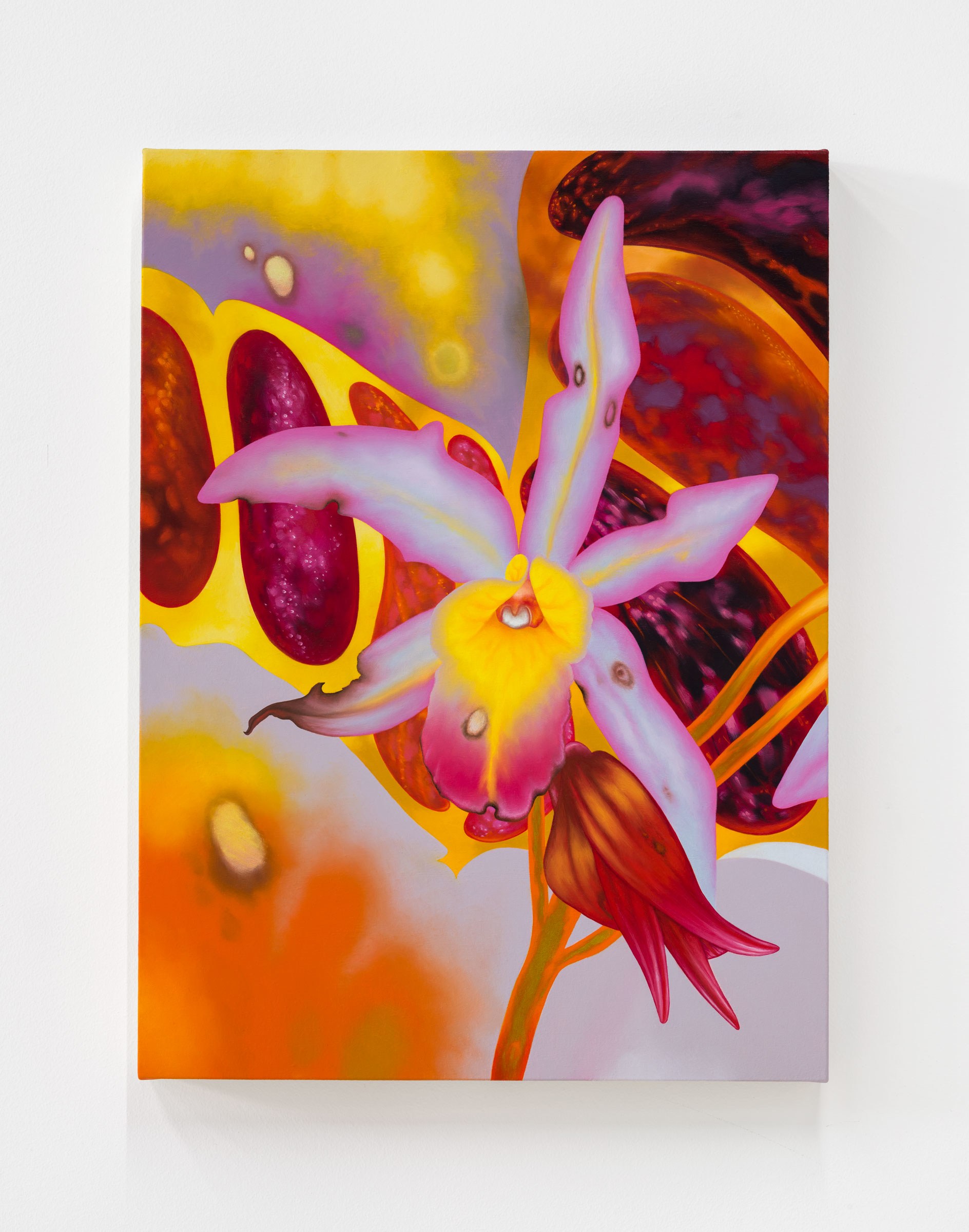 Yellow, and Pink, Violet and Red