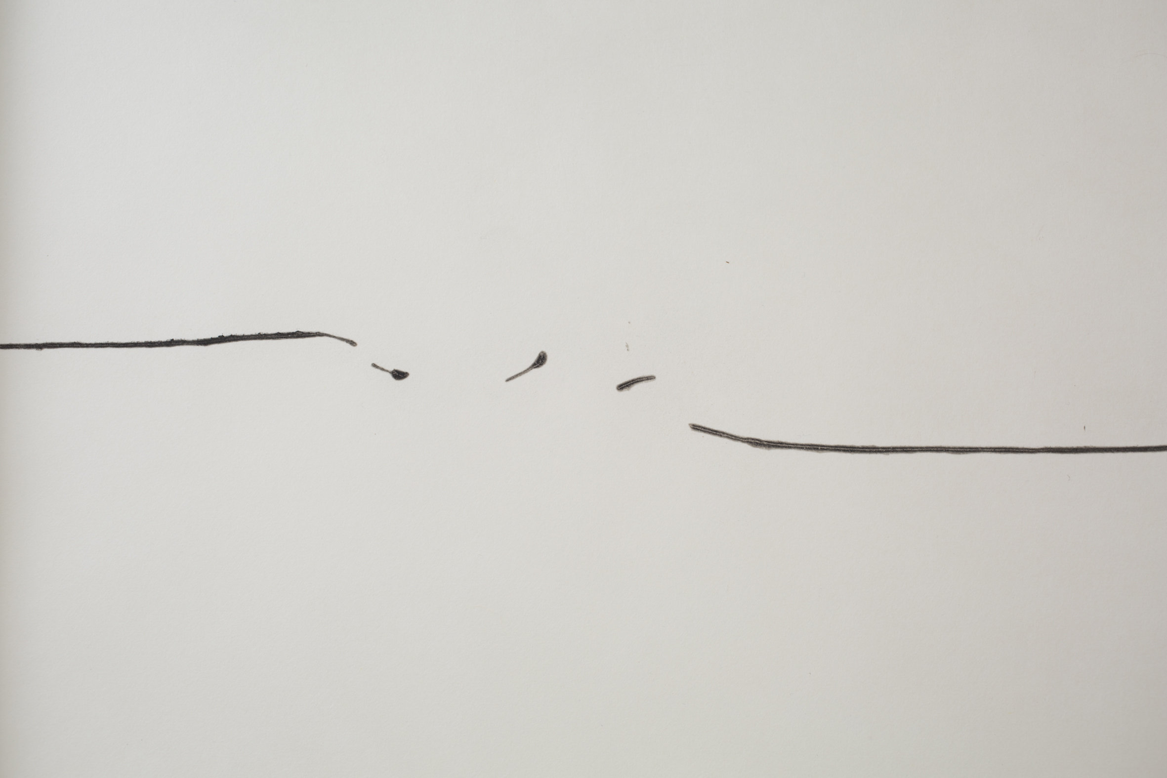 Untitled (II)