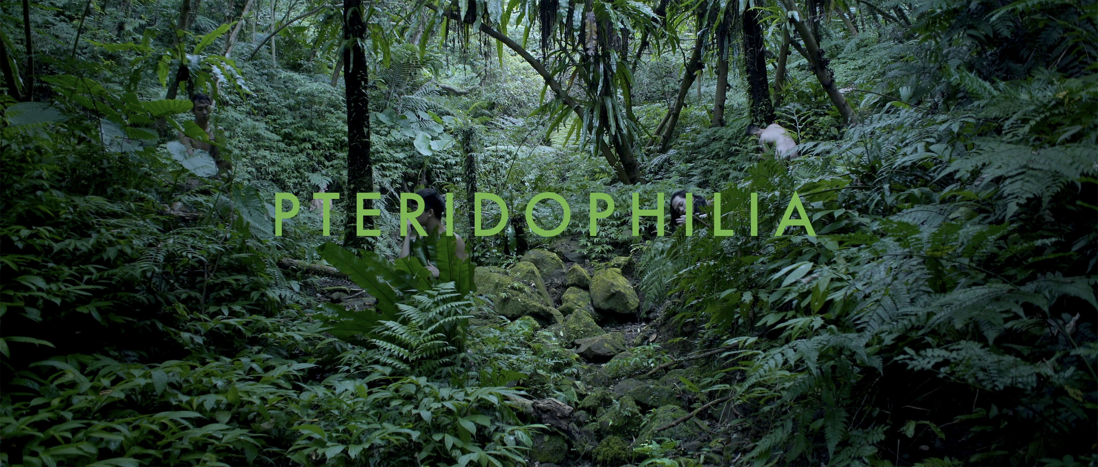 Pteridophilia I 蕨戀 I