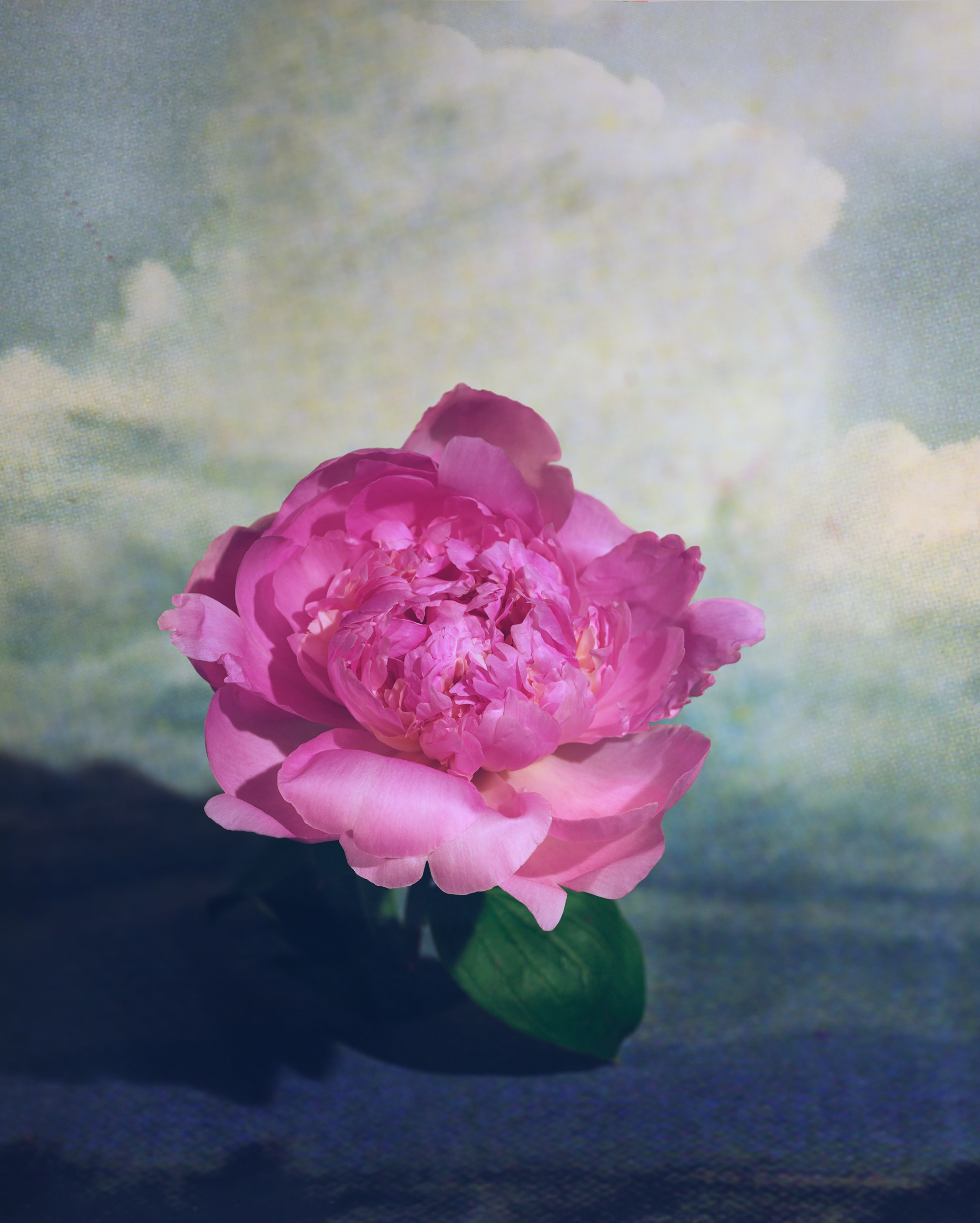Flower with Digital Sky iii