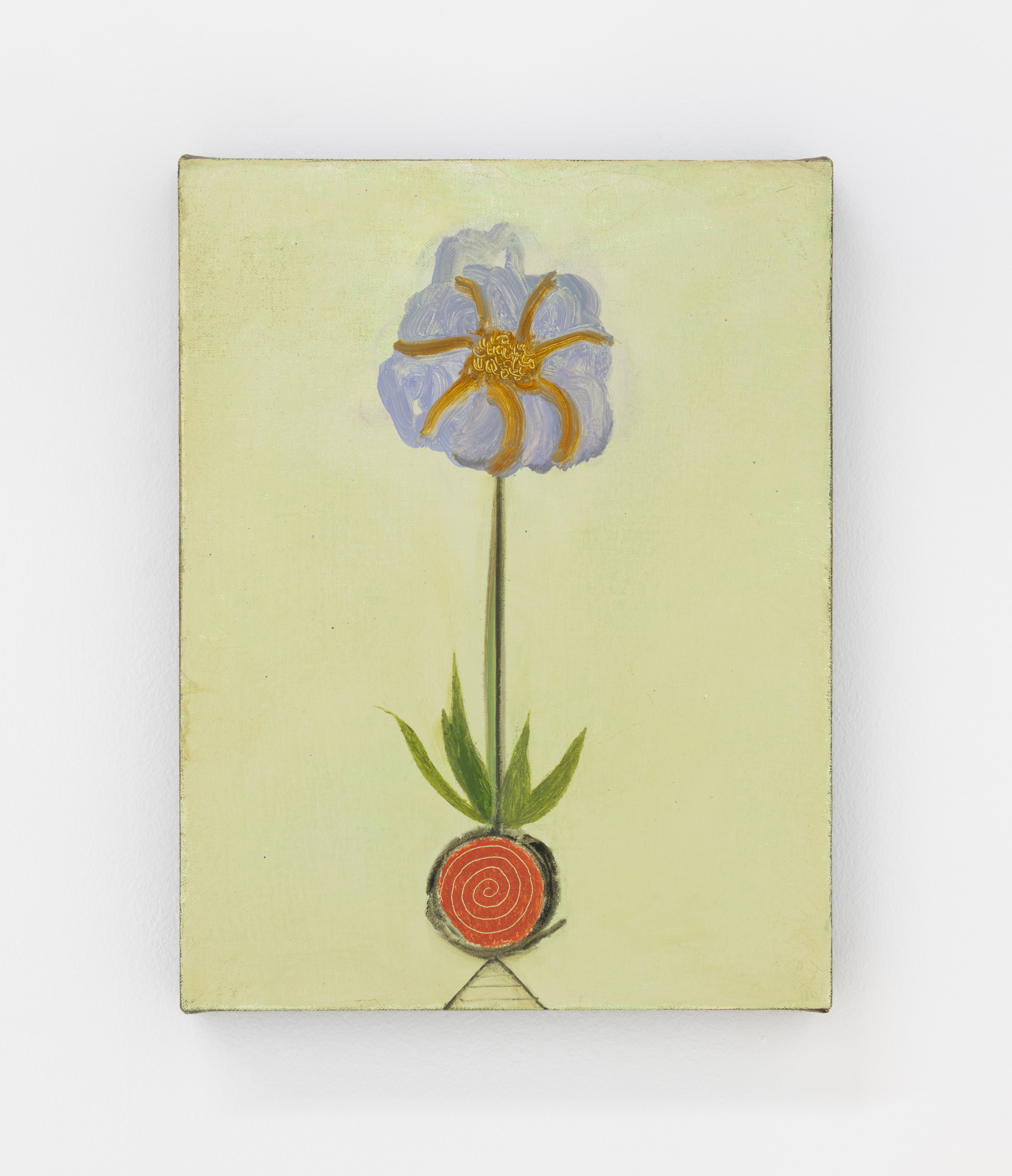 Iris