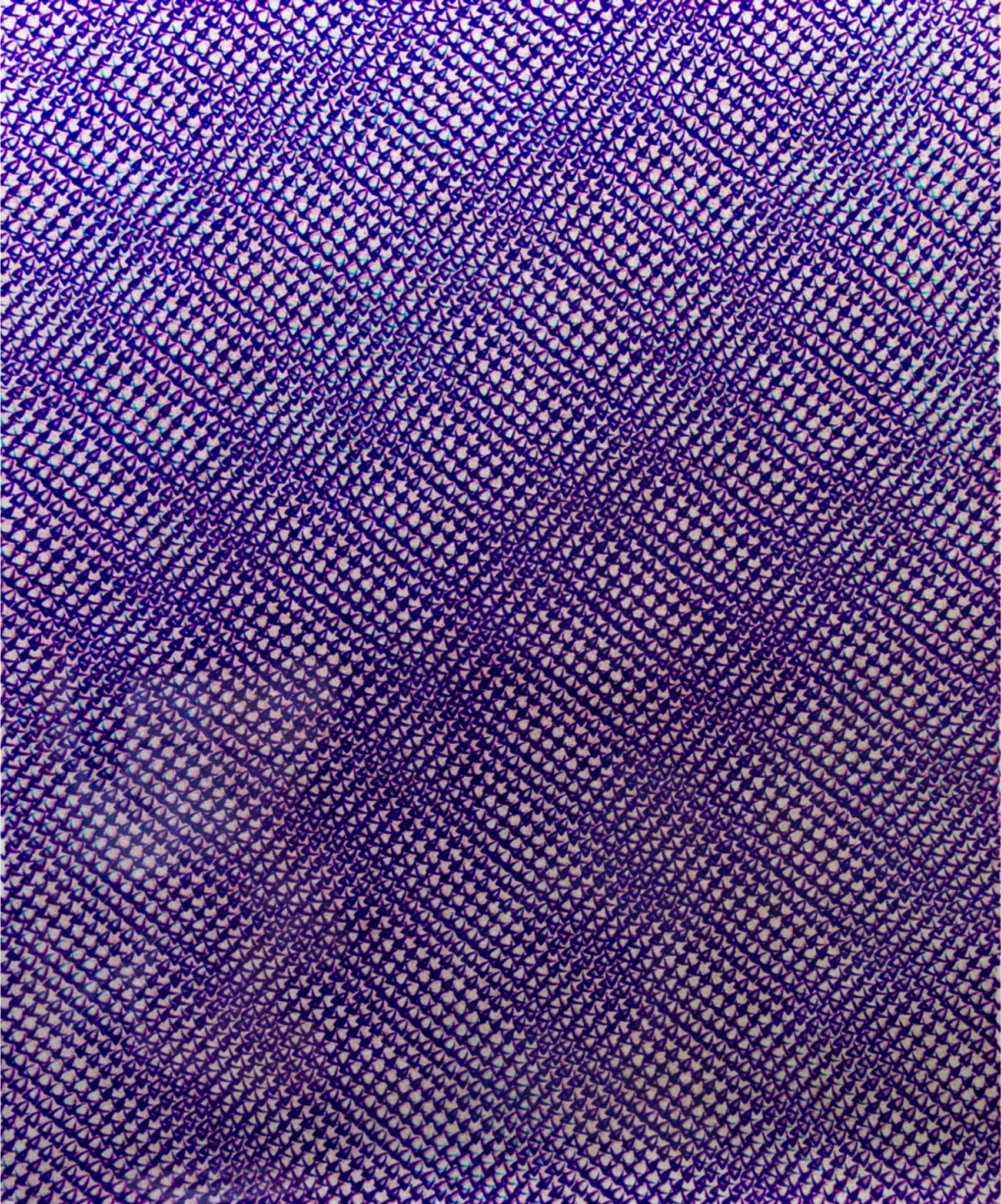 Fish Scale, Véritable Hollandais (Version 28)