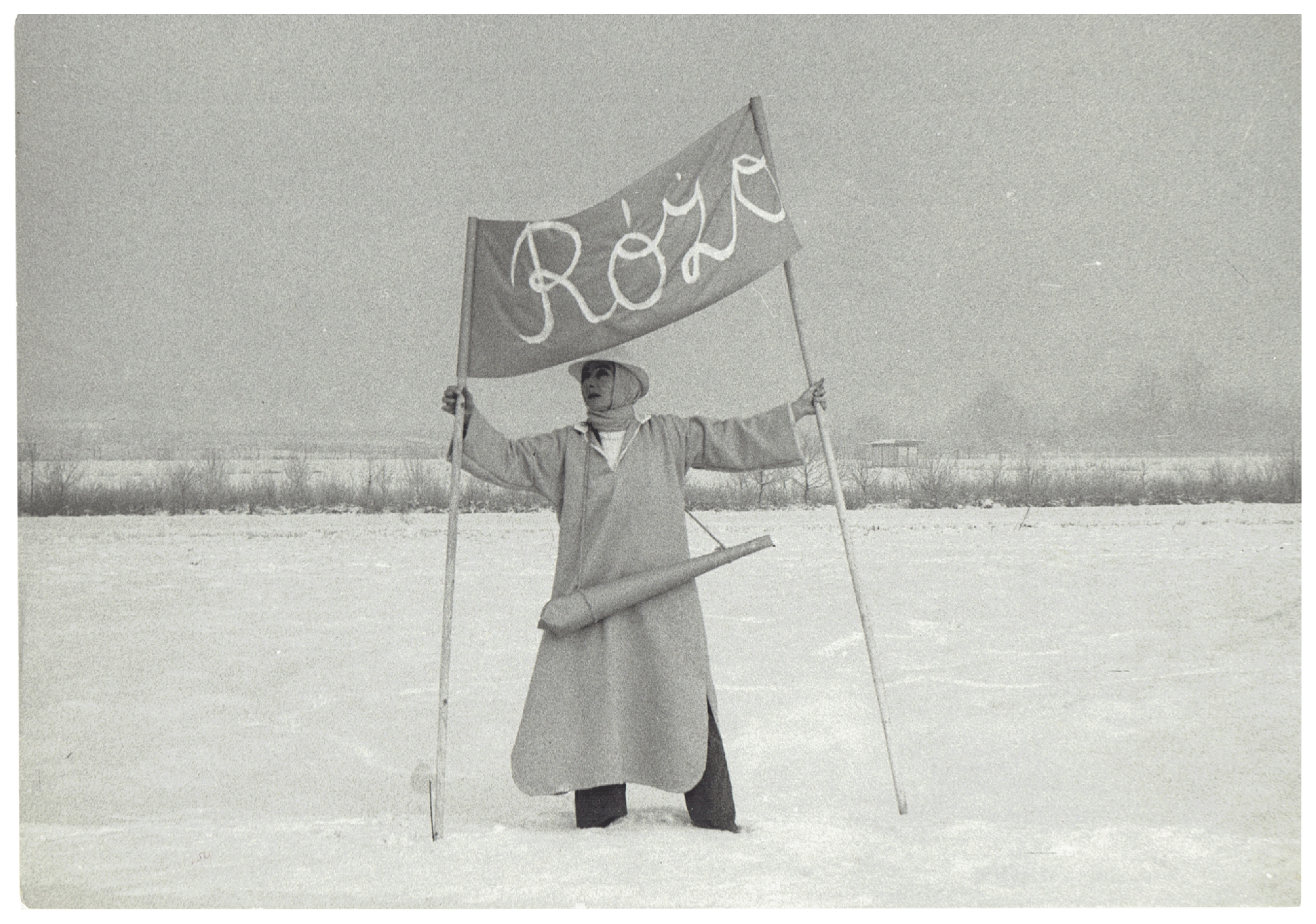 The Banner