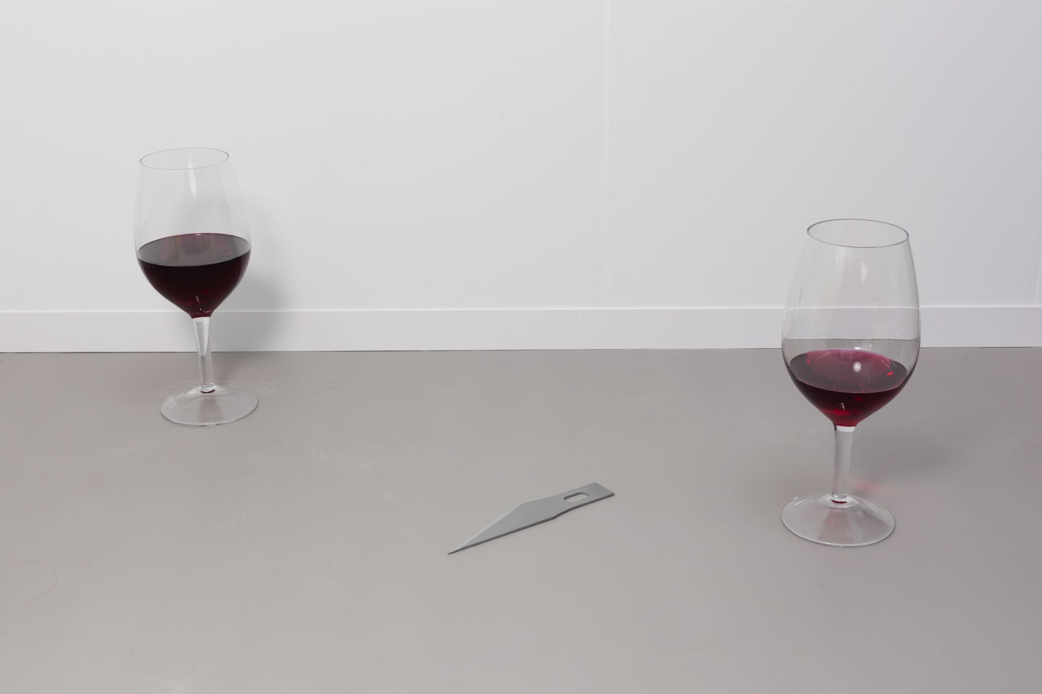 WARM WINE (PINOT NOIR)