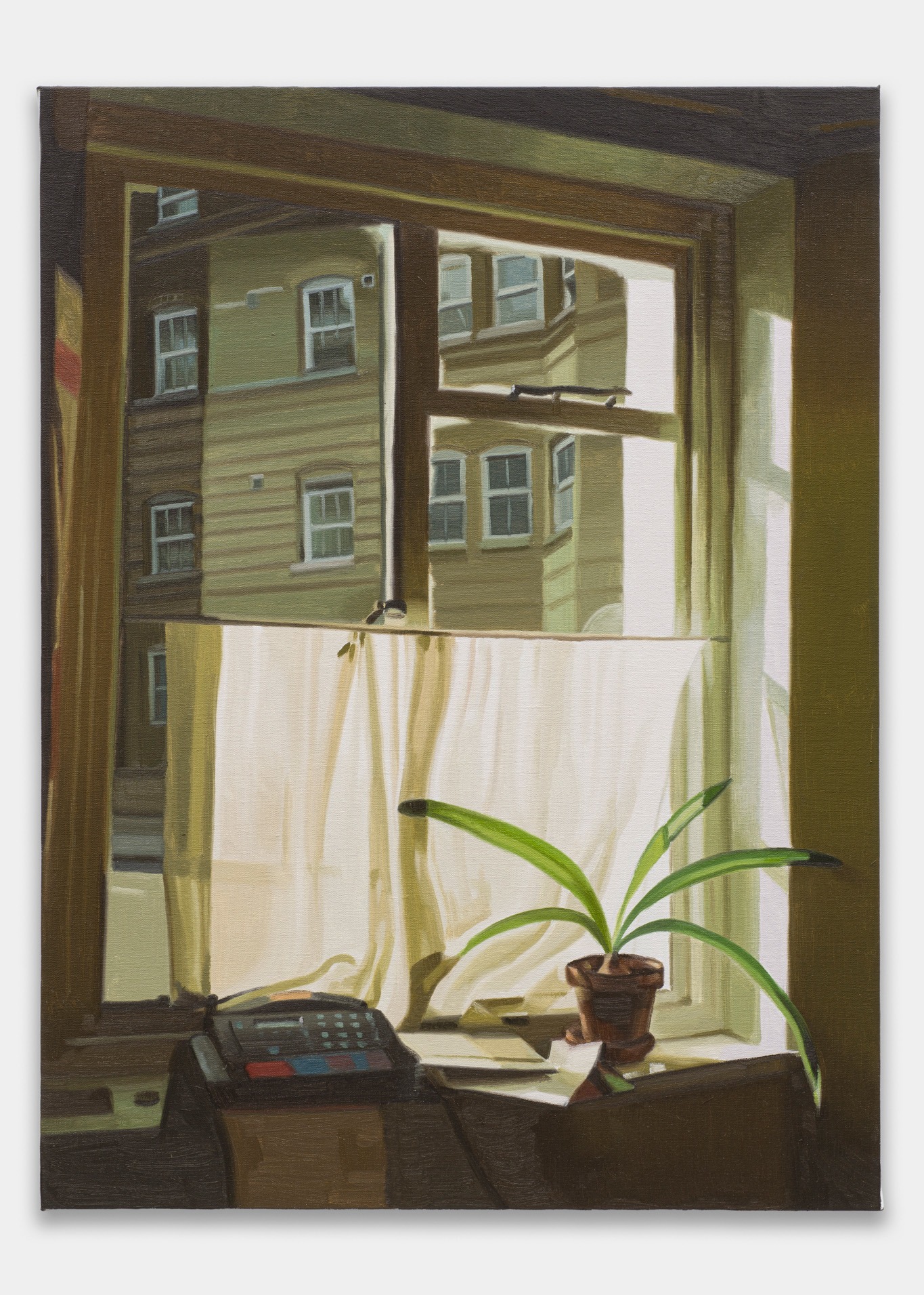 Window