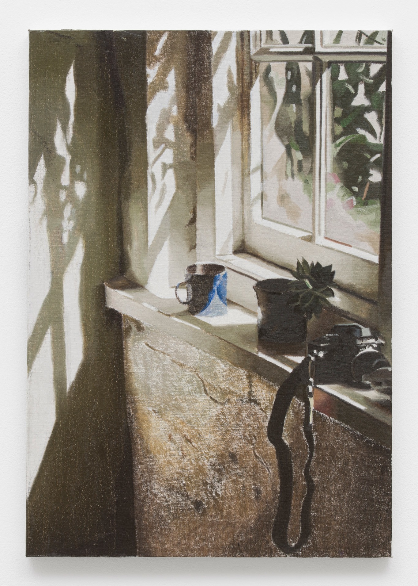 Window sill with plant and camera