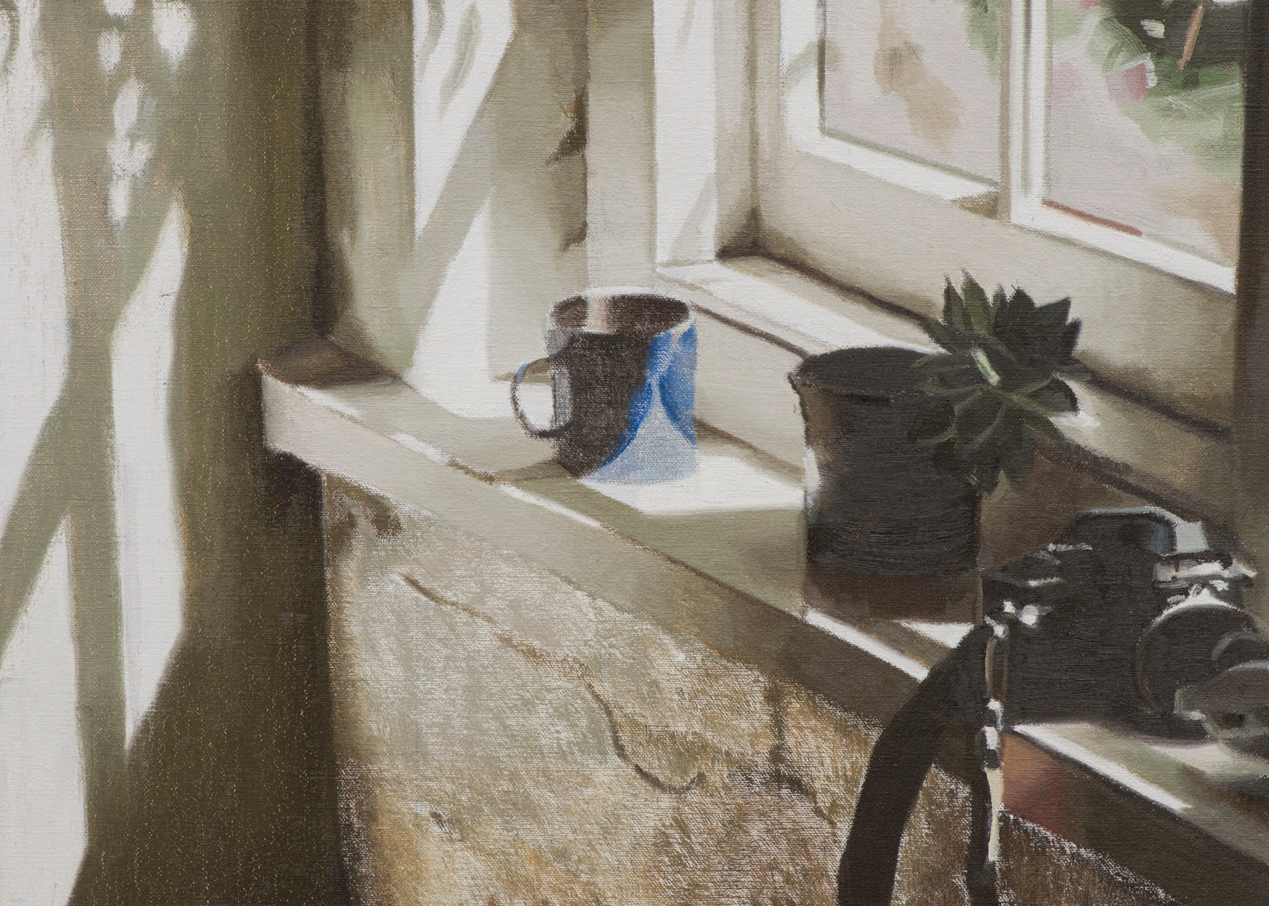 Window sill with plant and camera