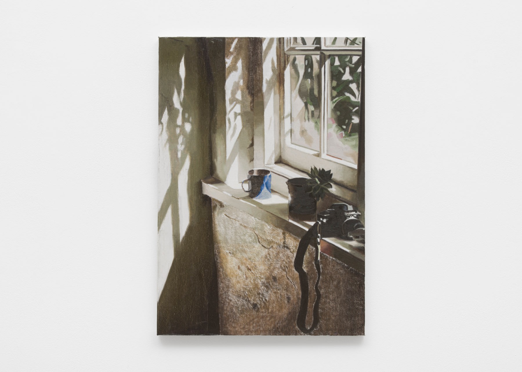 Window sill with plant and camera