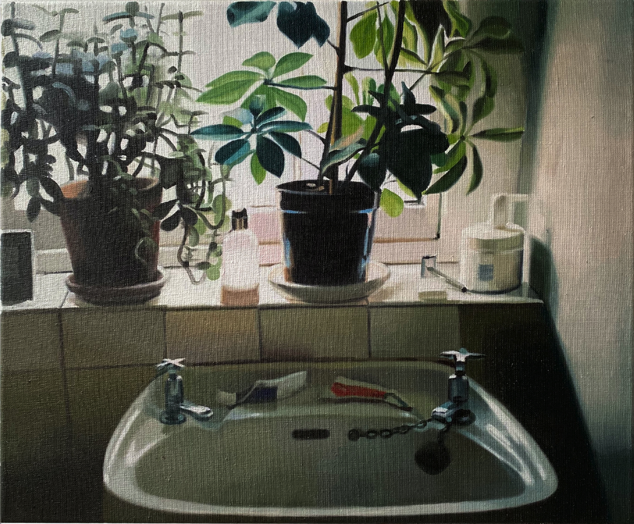 Bathroom Window Sill