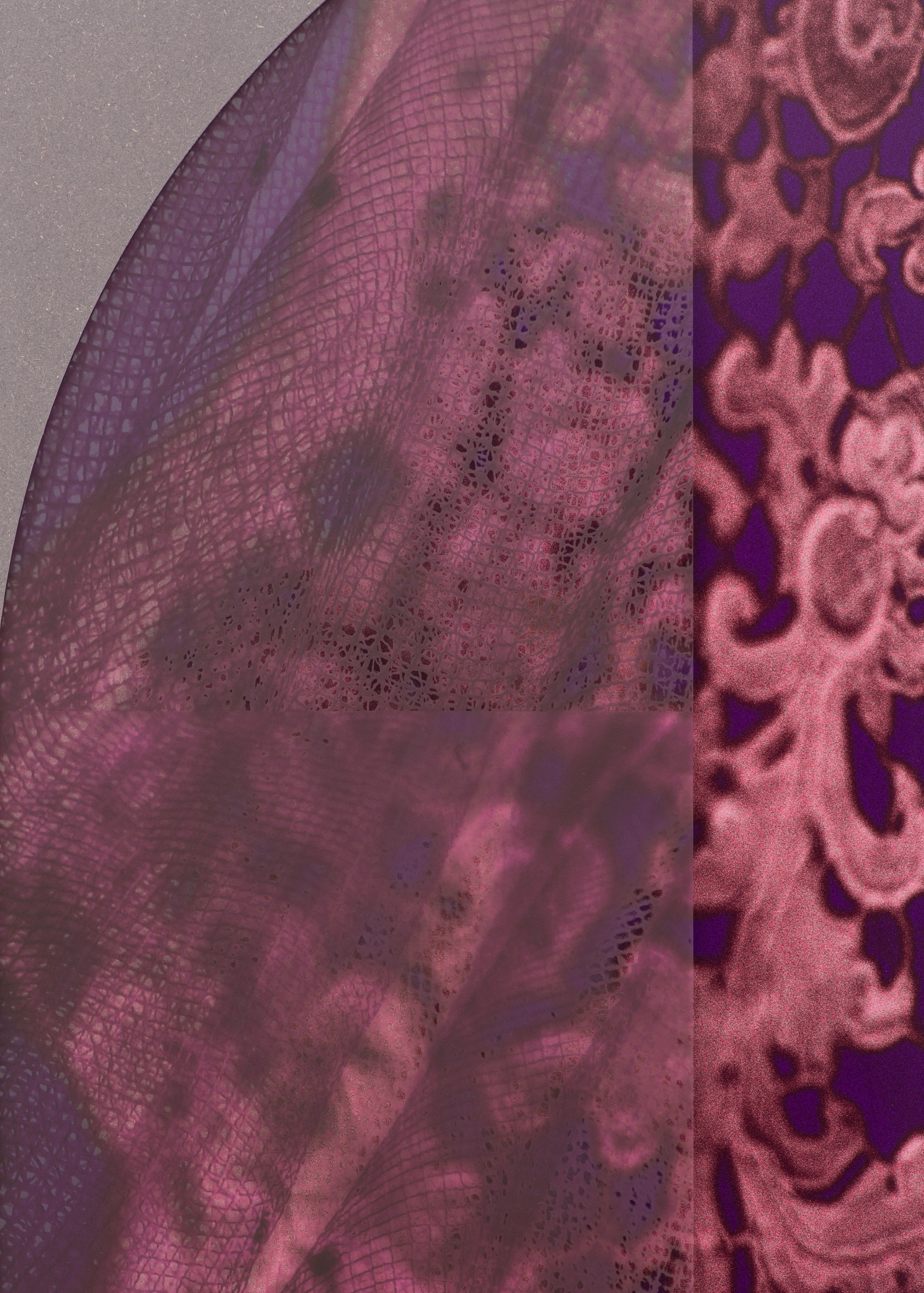 Lace Interlace V