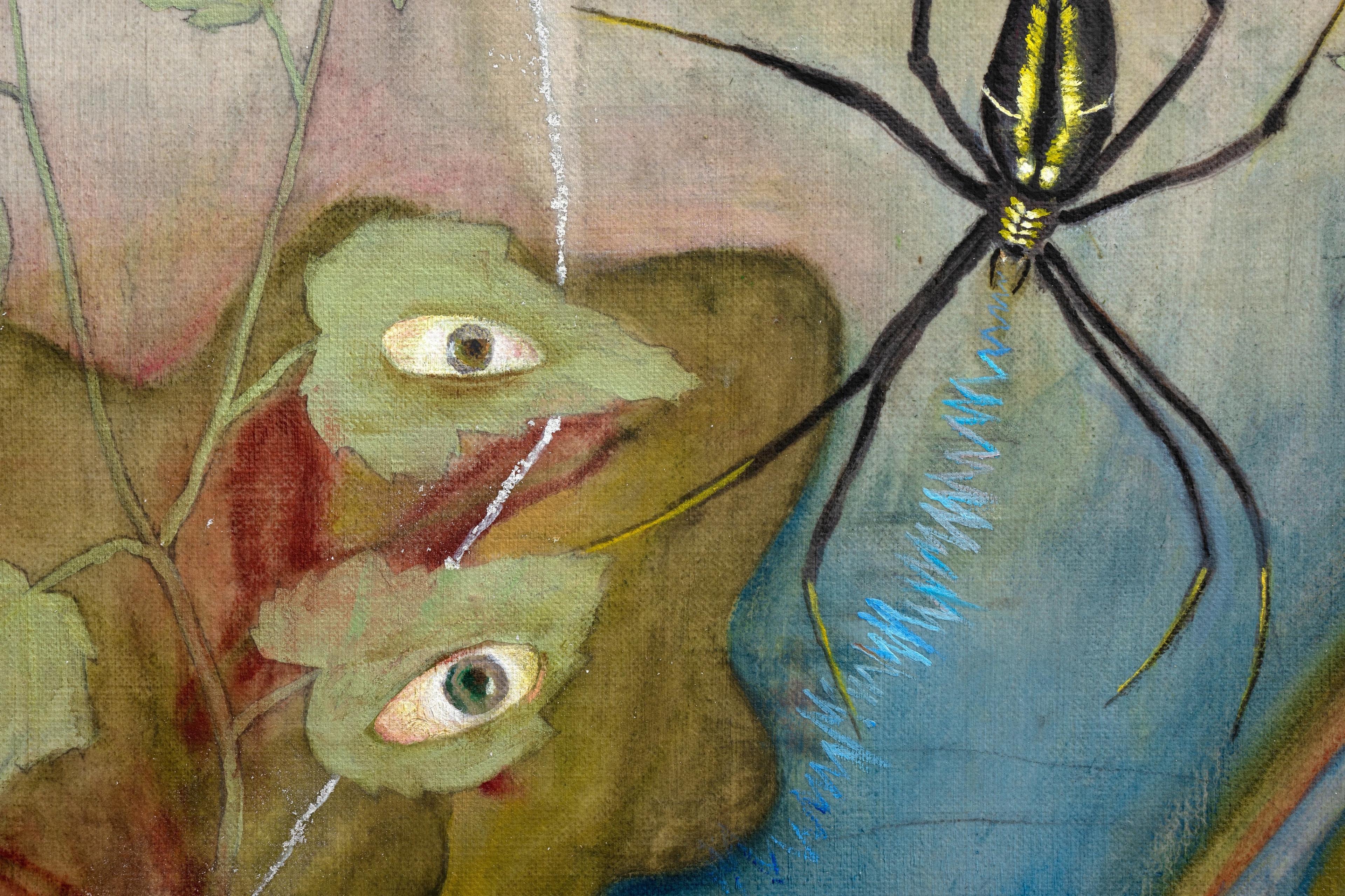 Araignée et guimauve