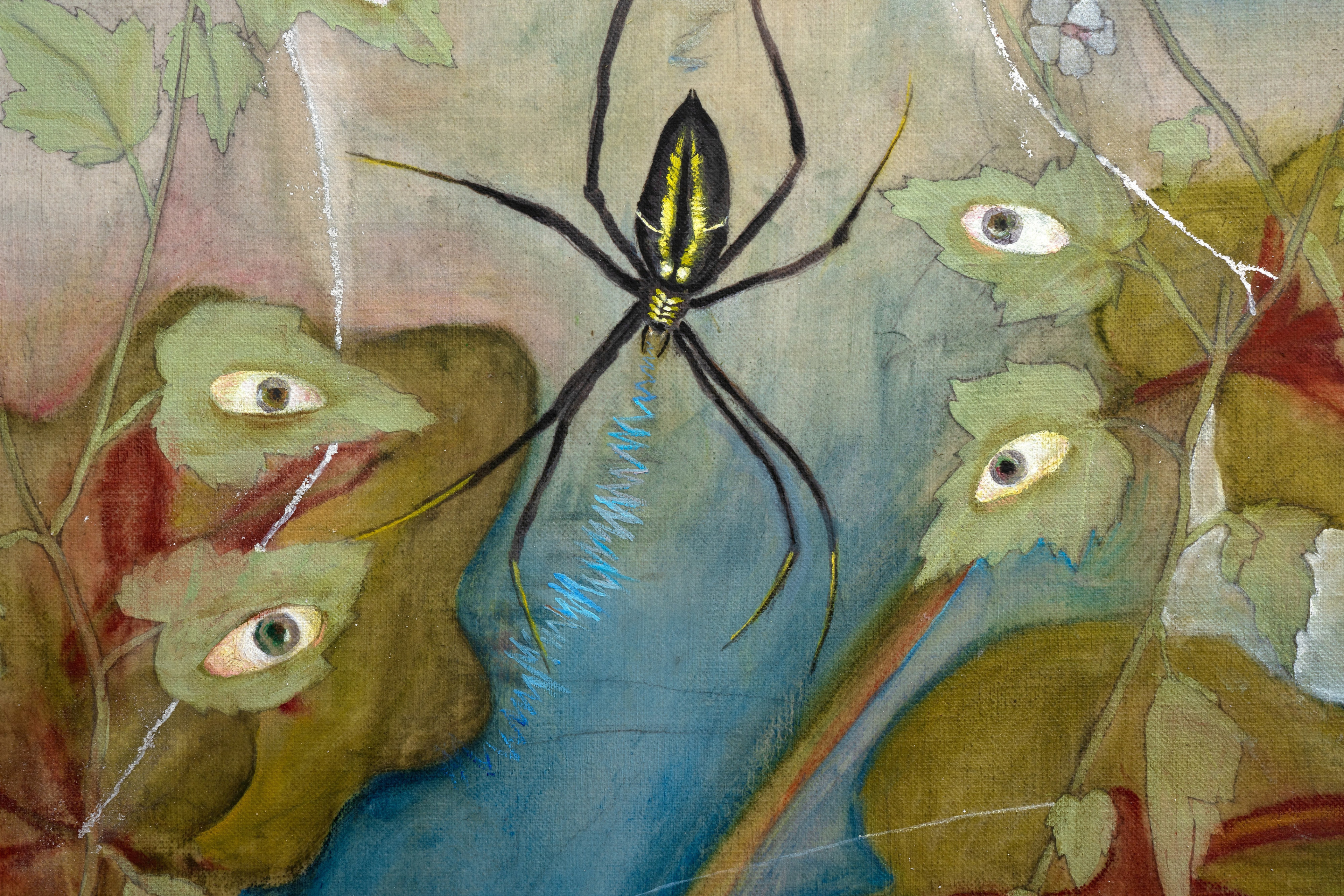 Araignée et guimauve