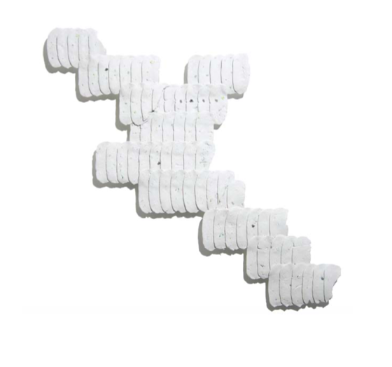 P23.50