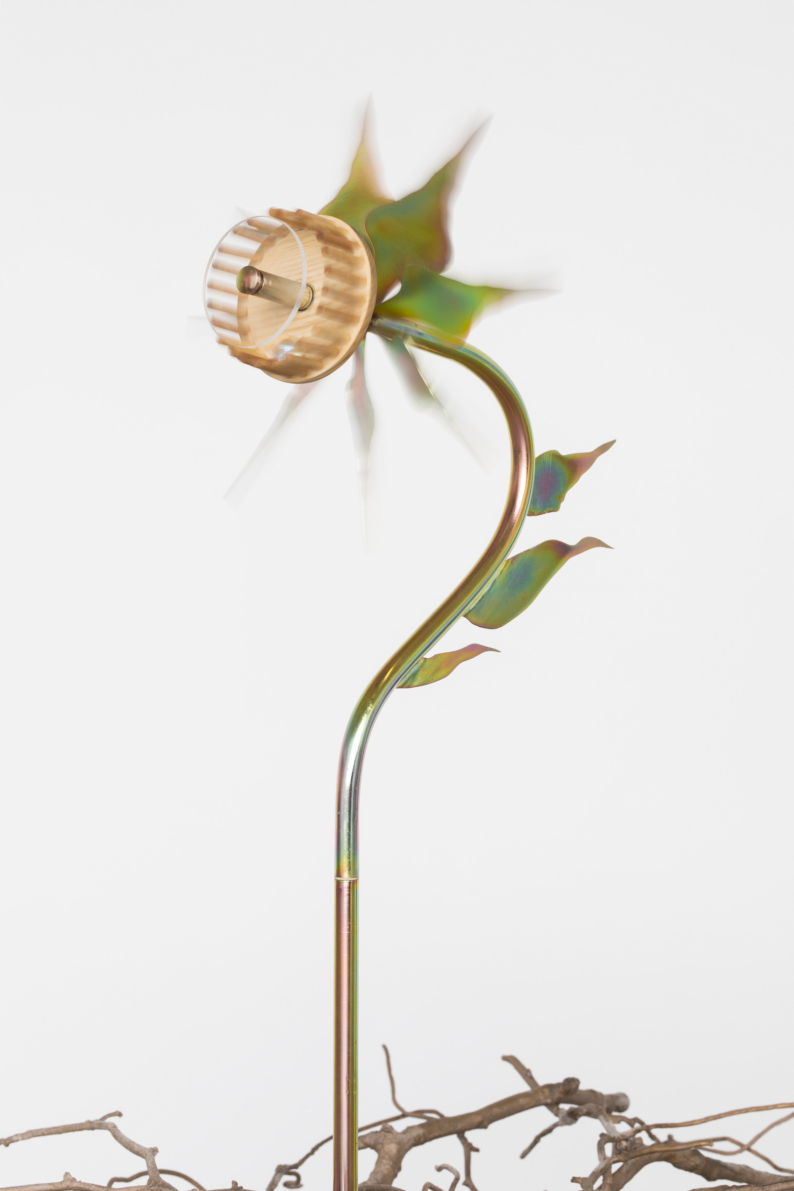Russian Thistle Spins