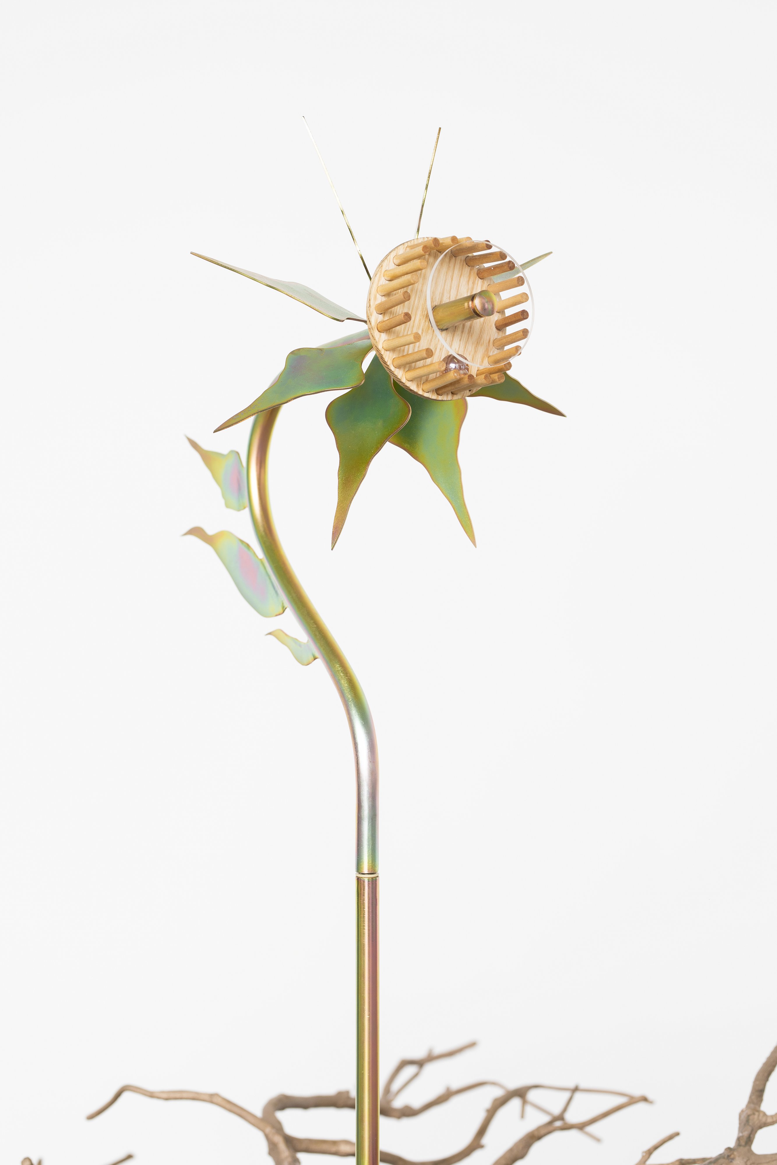 Russian Thistle Spins