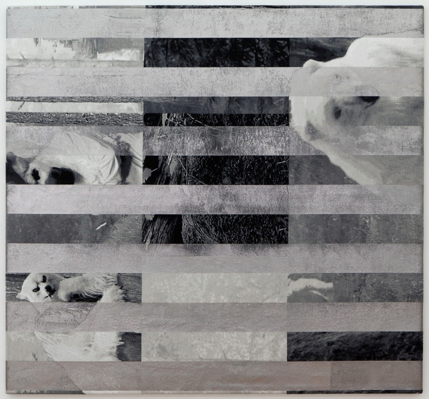Hidden Until Circumstances Are Suitable (Polar Bear and Wolf)