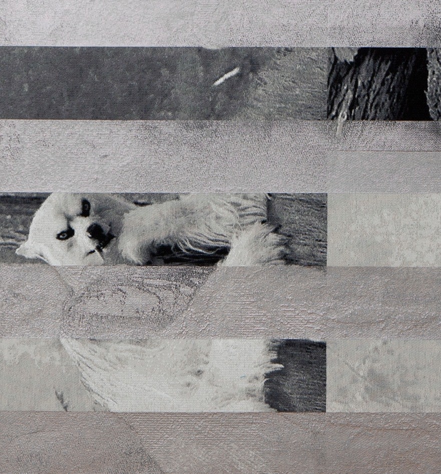 Hidden Until Circumstances Are Suitable (Polar Bear and Wolf)