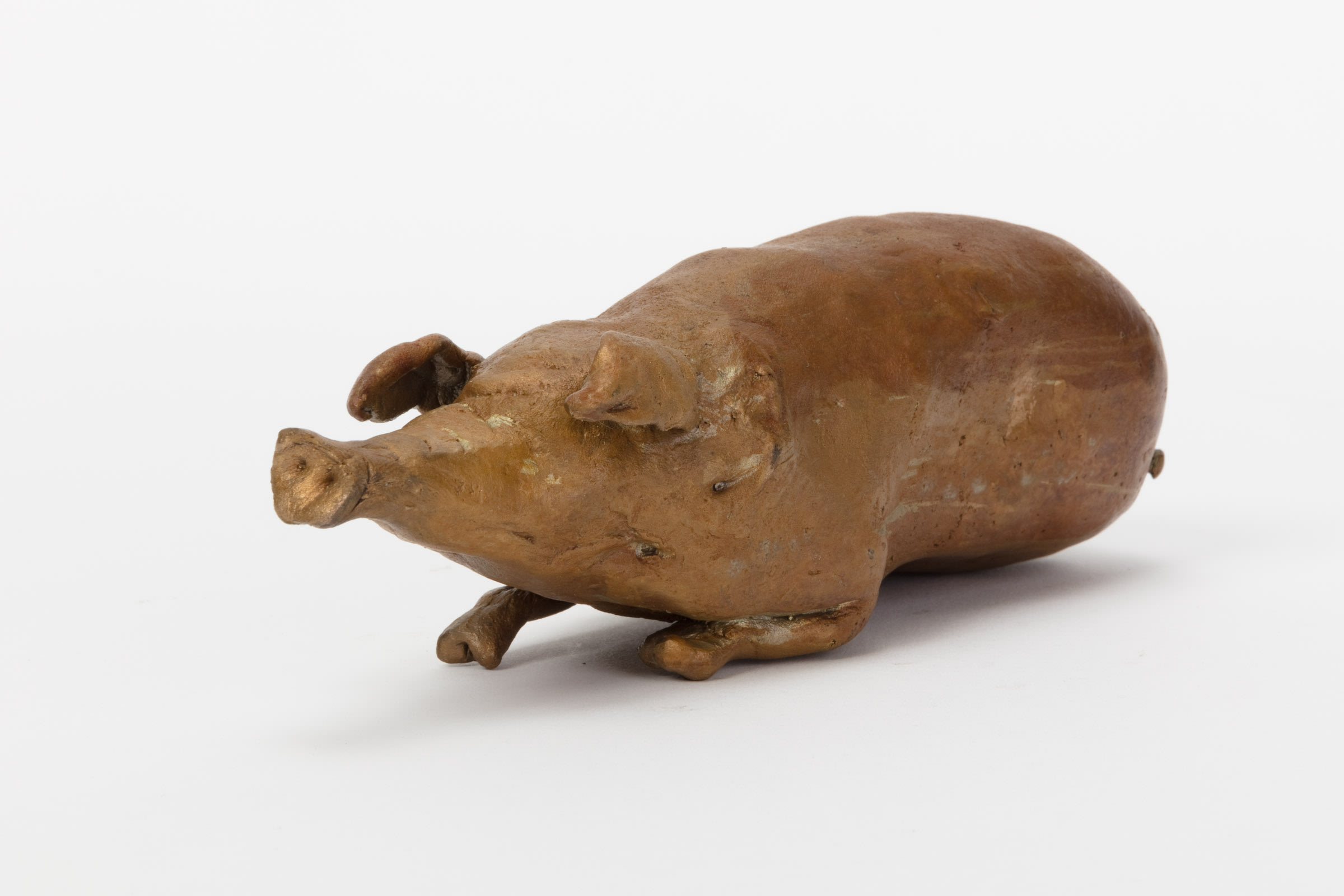 Sniffing Pig