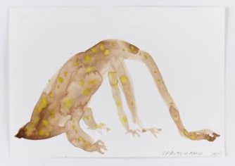 Yellow Spotted Dinosaur