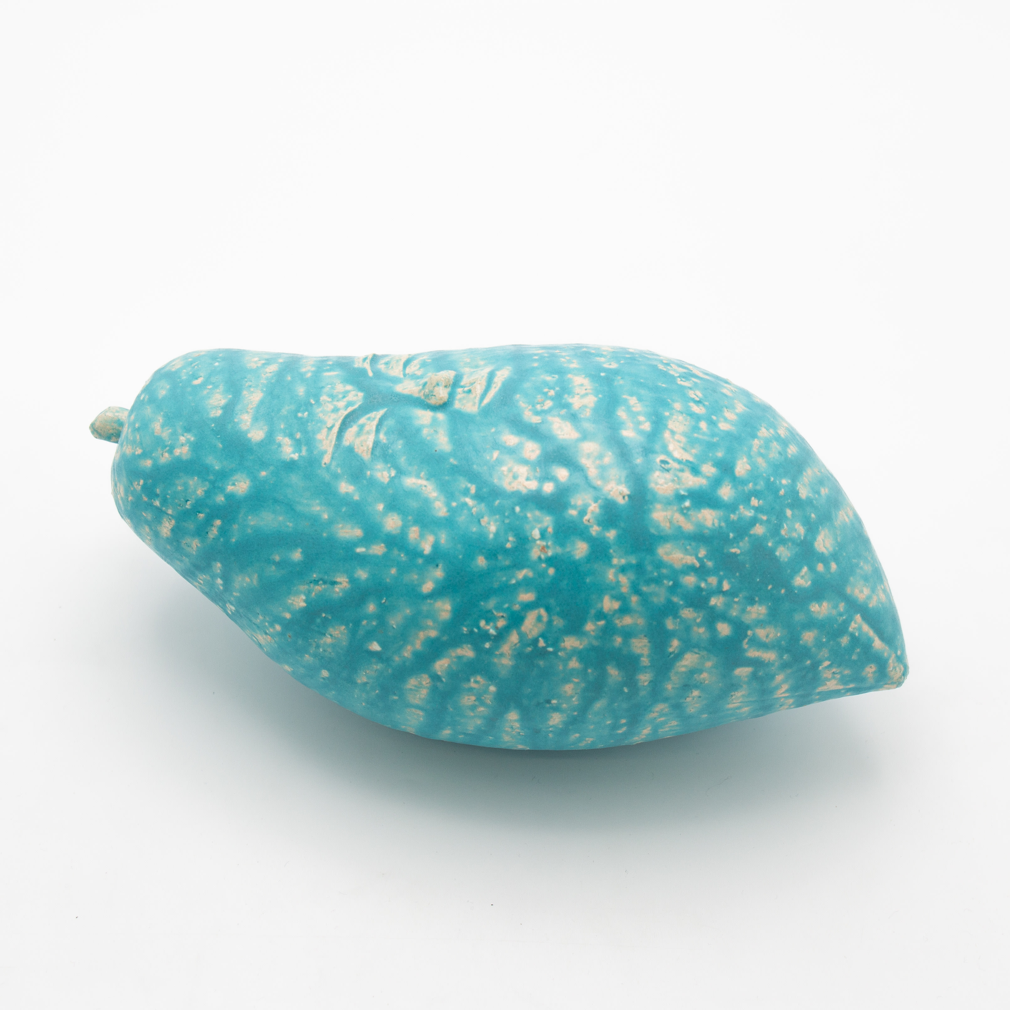 Sleeping Papaya