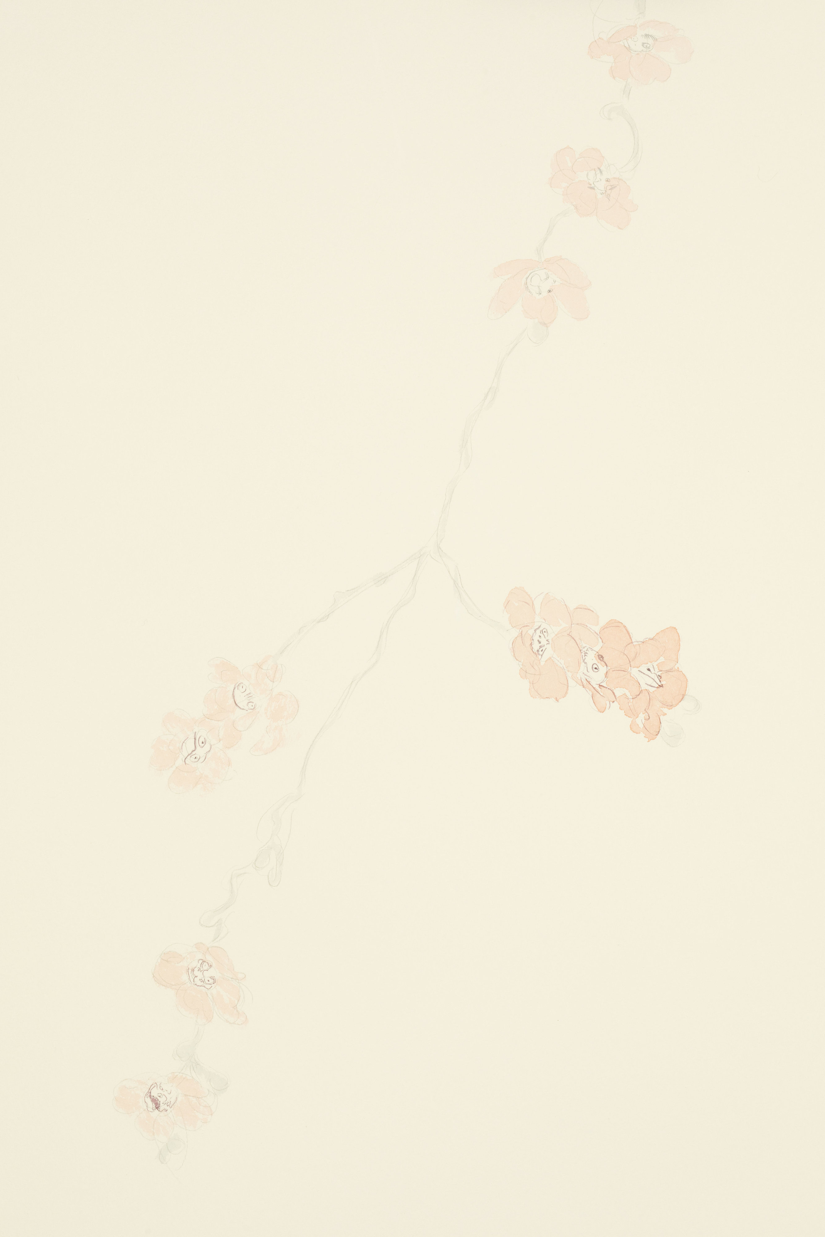 Bosque de niebla VII, VIII
