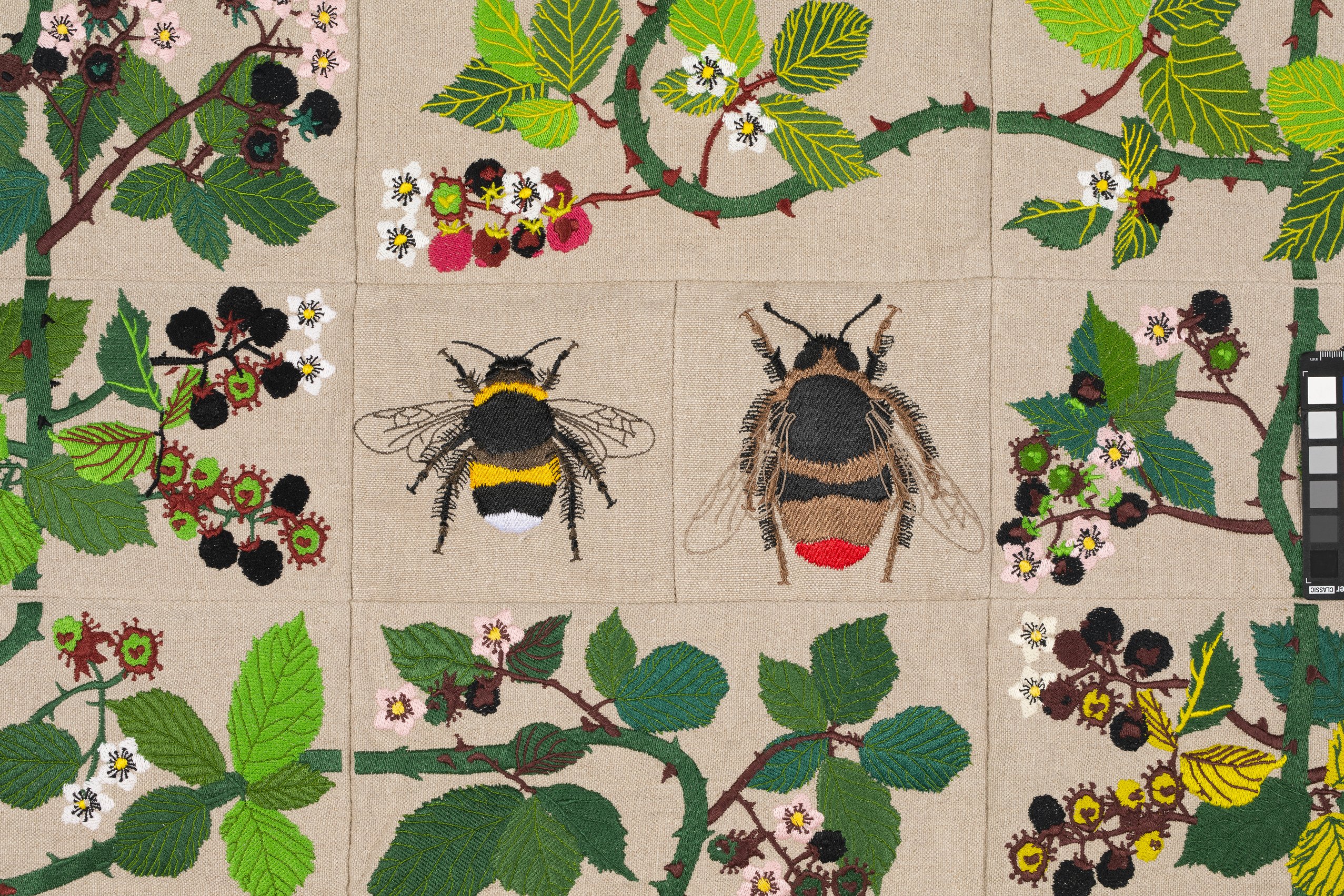 Embroidered quilt with earthworms, bramble plant, hebe tiger moth, magpie moth, green stink bug, str...