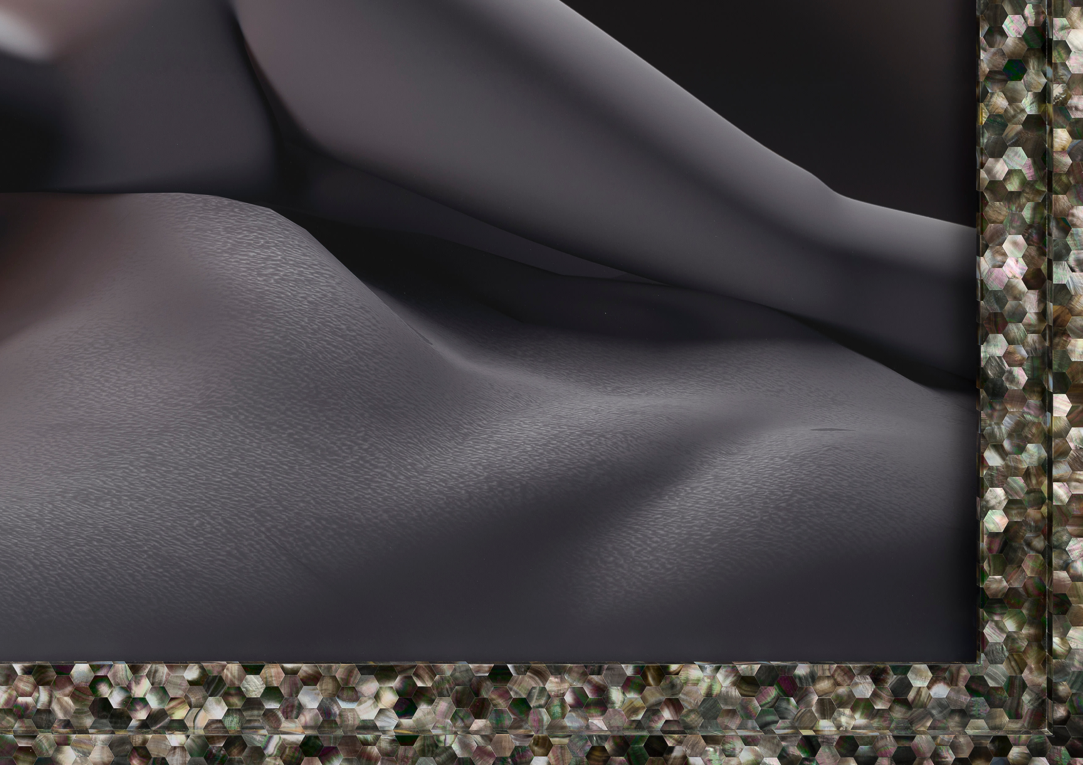 Rose Joan on mud blanket