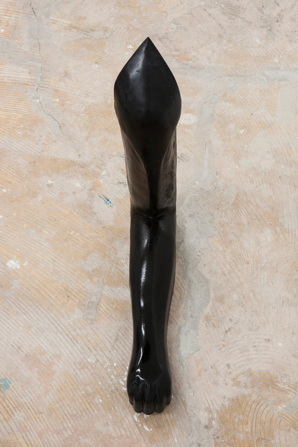 Untitled (Paw)