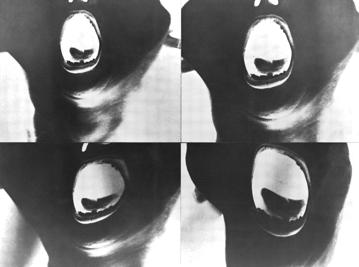 Transformations III (Negative)