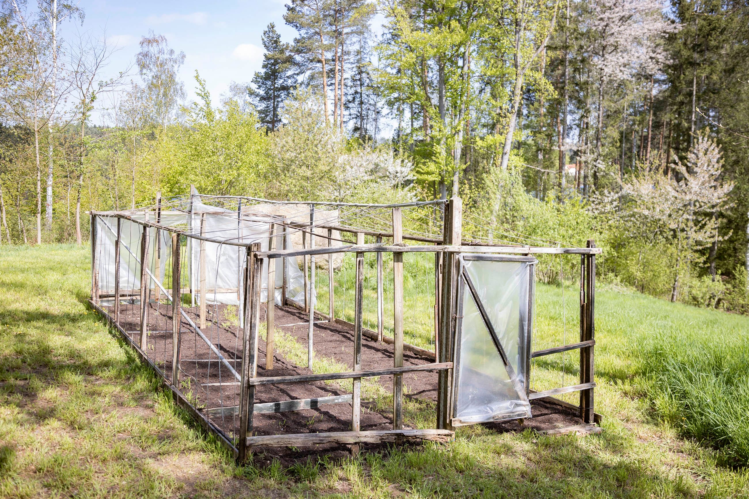 Greenhouse from Užupis