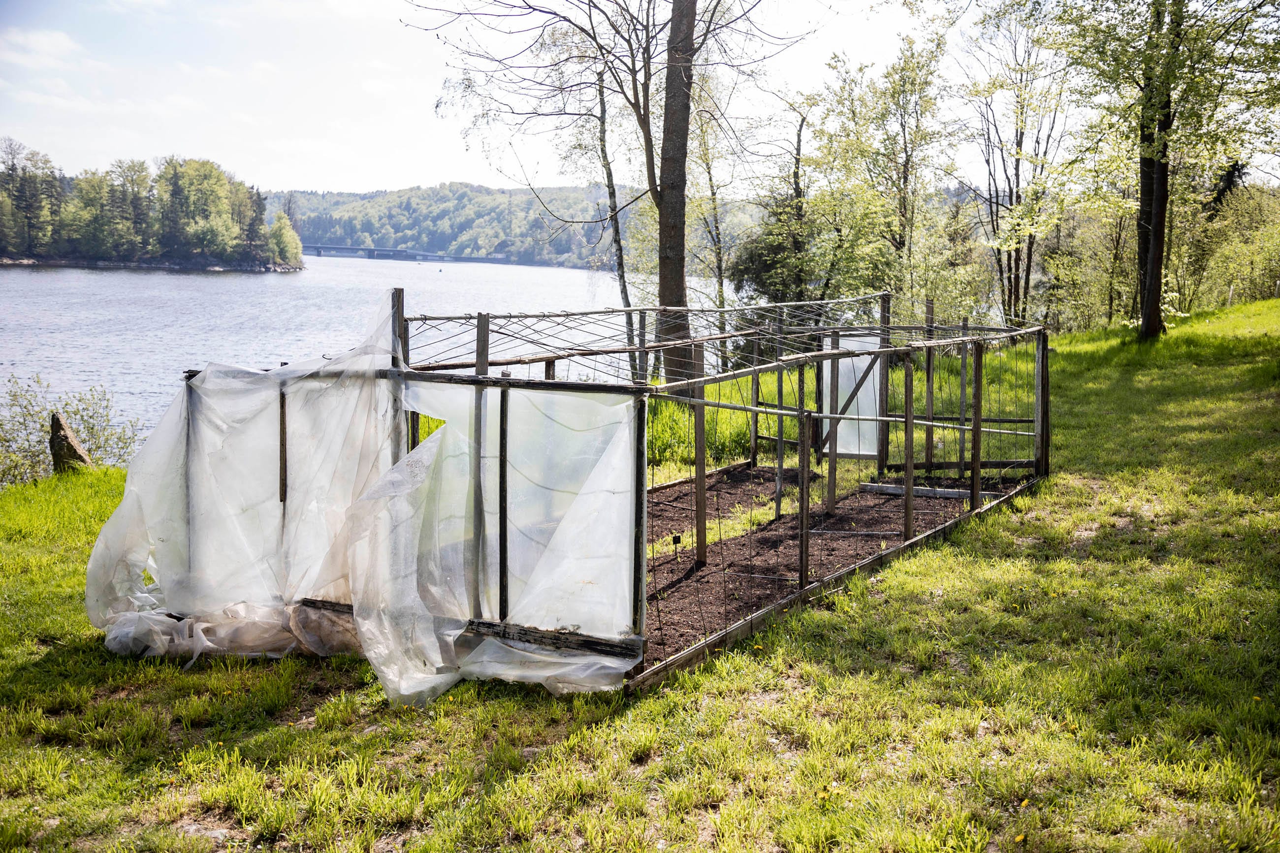 Greenhouse from Užupis