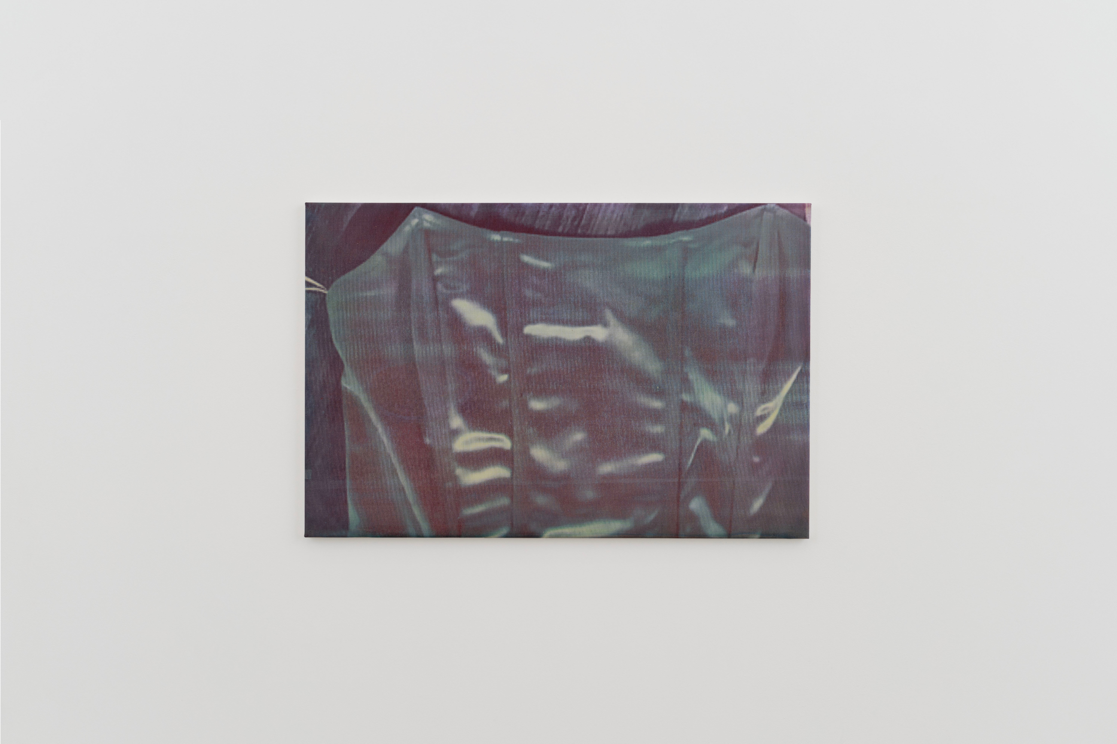 2658948151 (Purple)
