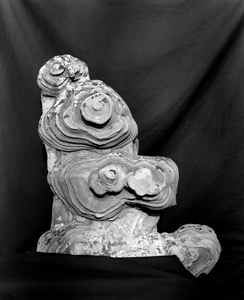 Tombeau Idéal de Ferdinand Cheval 11-07 (Pierre d'achoppement I)