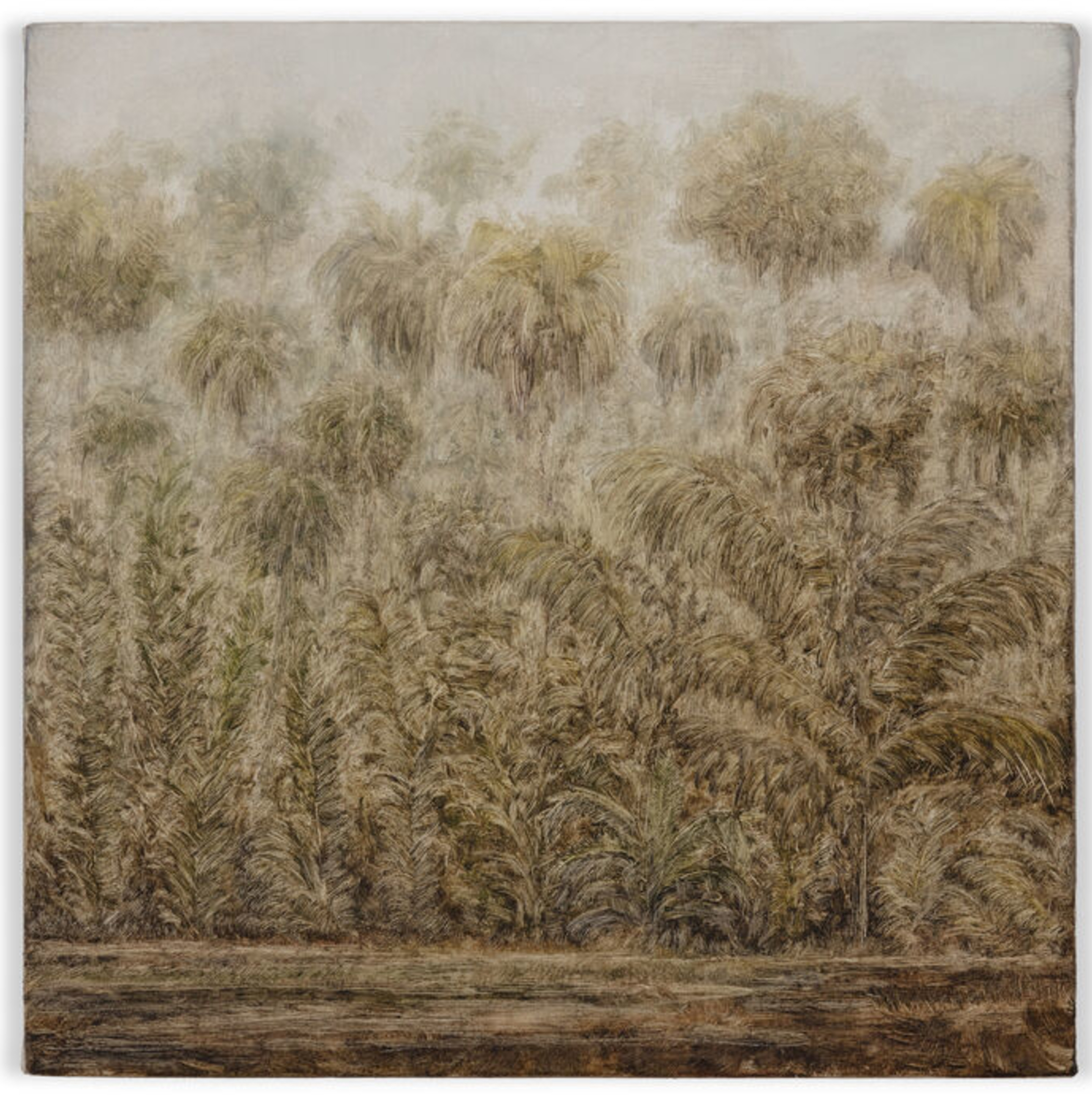 Untitled (from the Deserto - Modelo series )