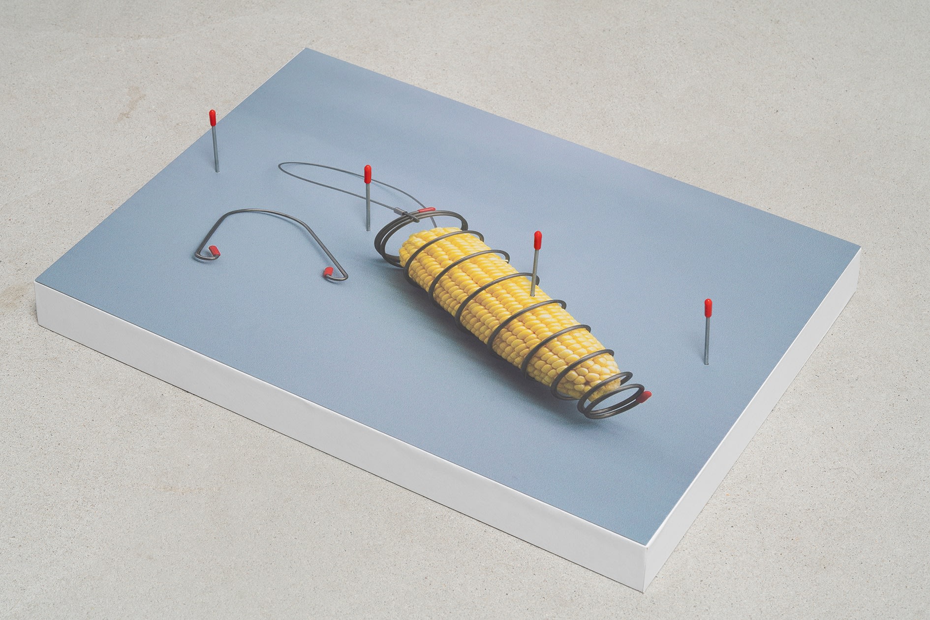 Corn Cage