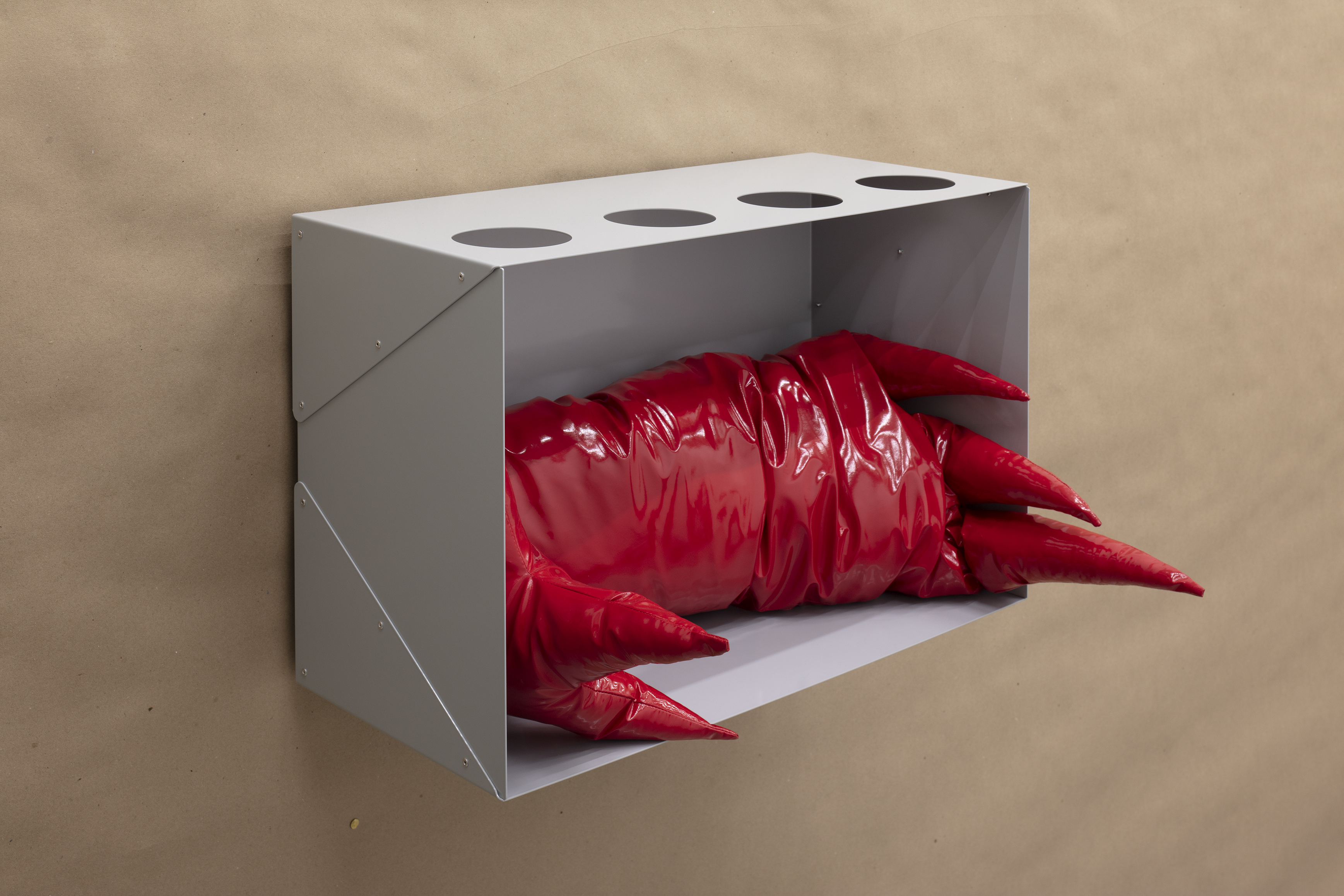 Comet in a box