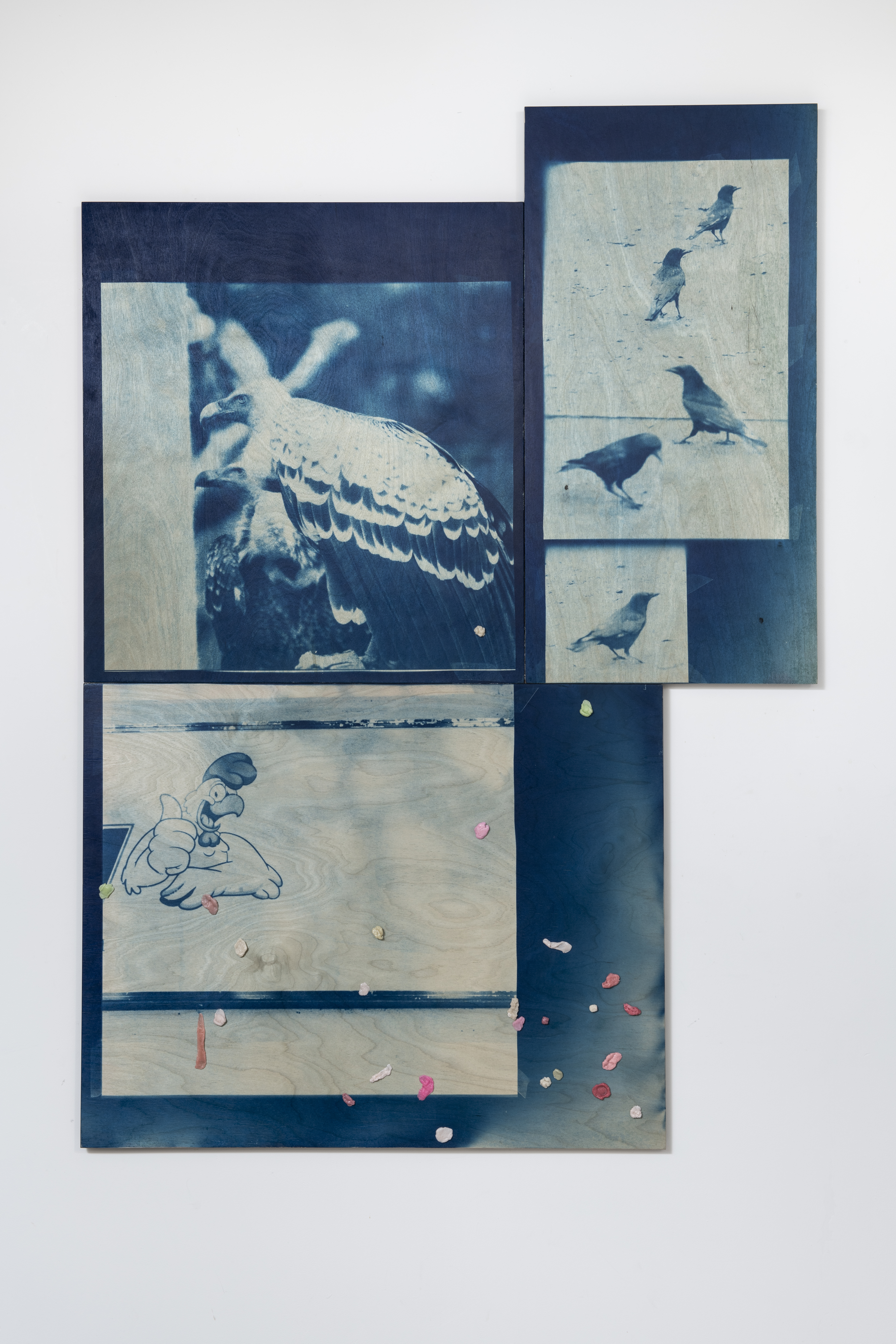 Flight of stairs (Birds)
