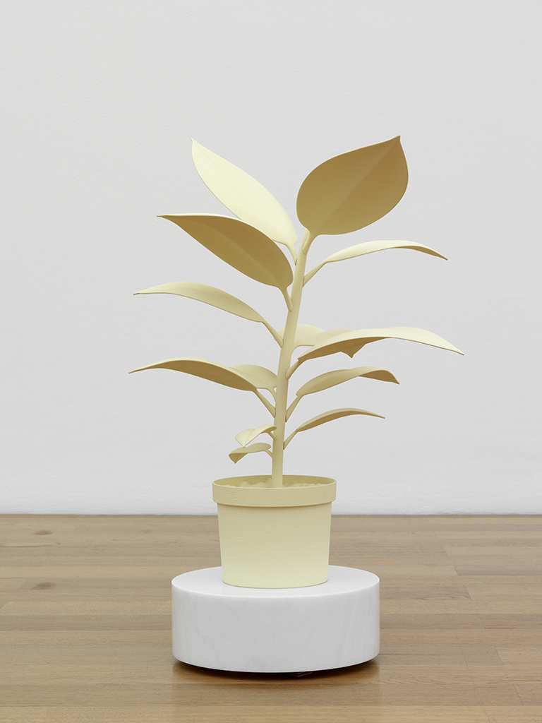 Lurking Sculpture (Rotating Rubber Plant)