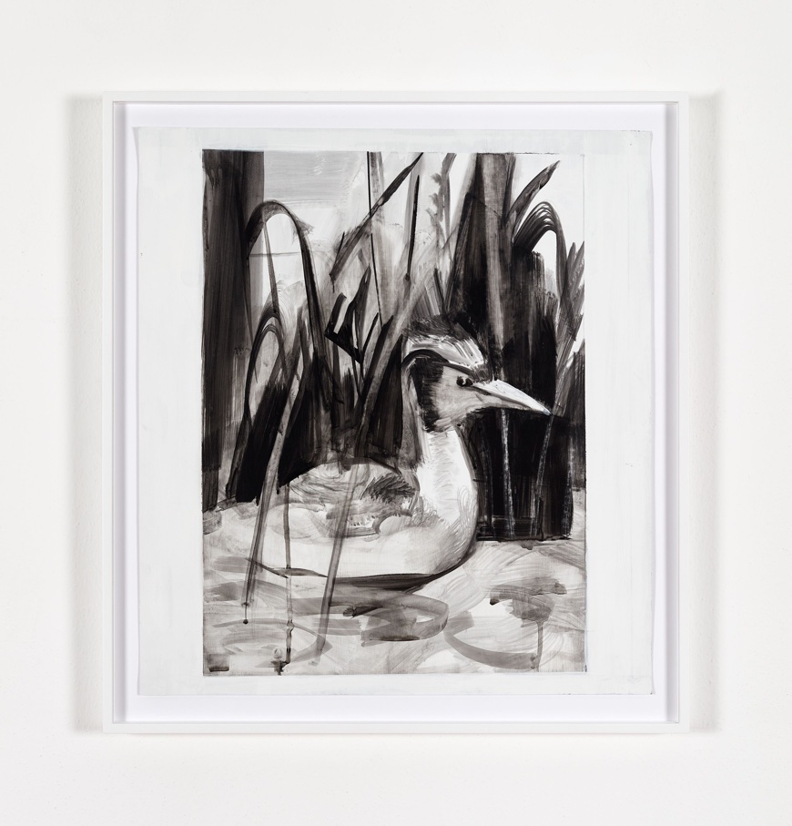 Duckling, Natural History Museum, Dublin