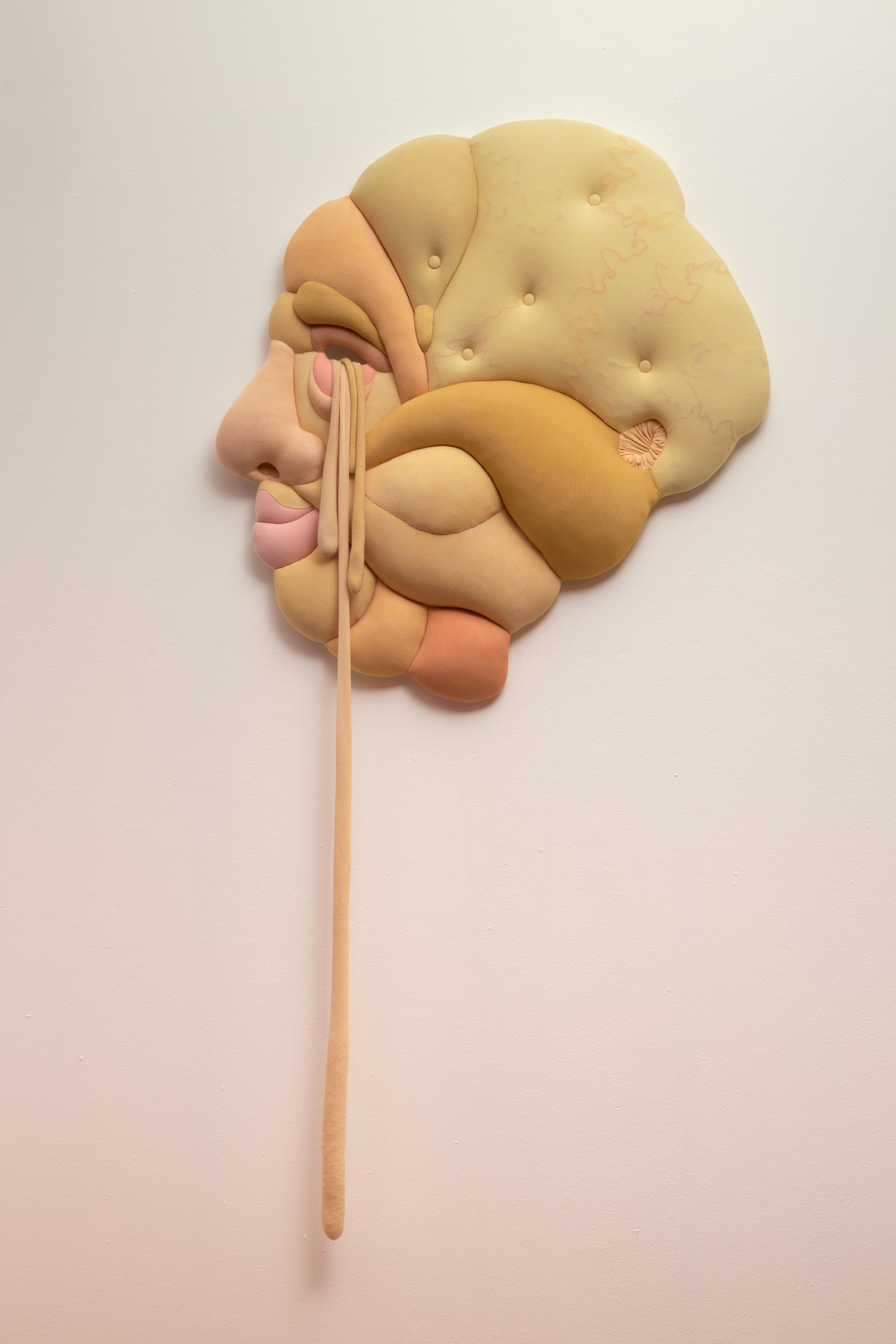 Facescape (Yellow)