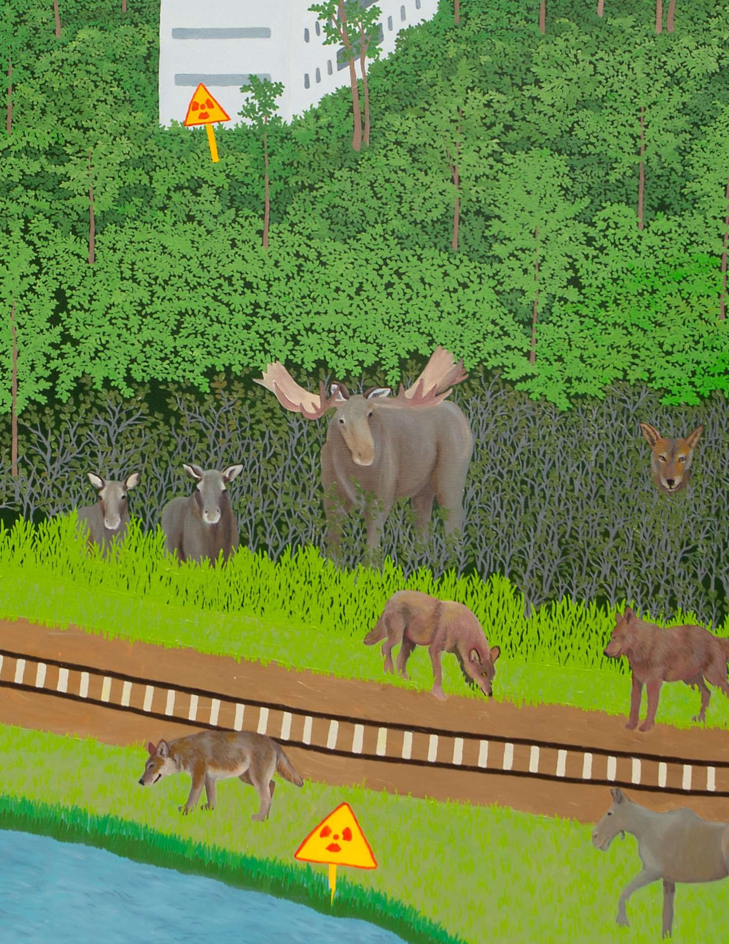 Rewilding in Chernobyl