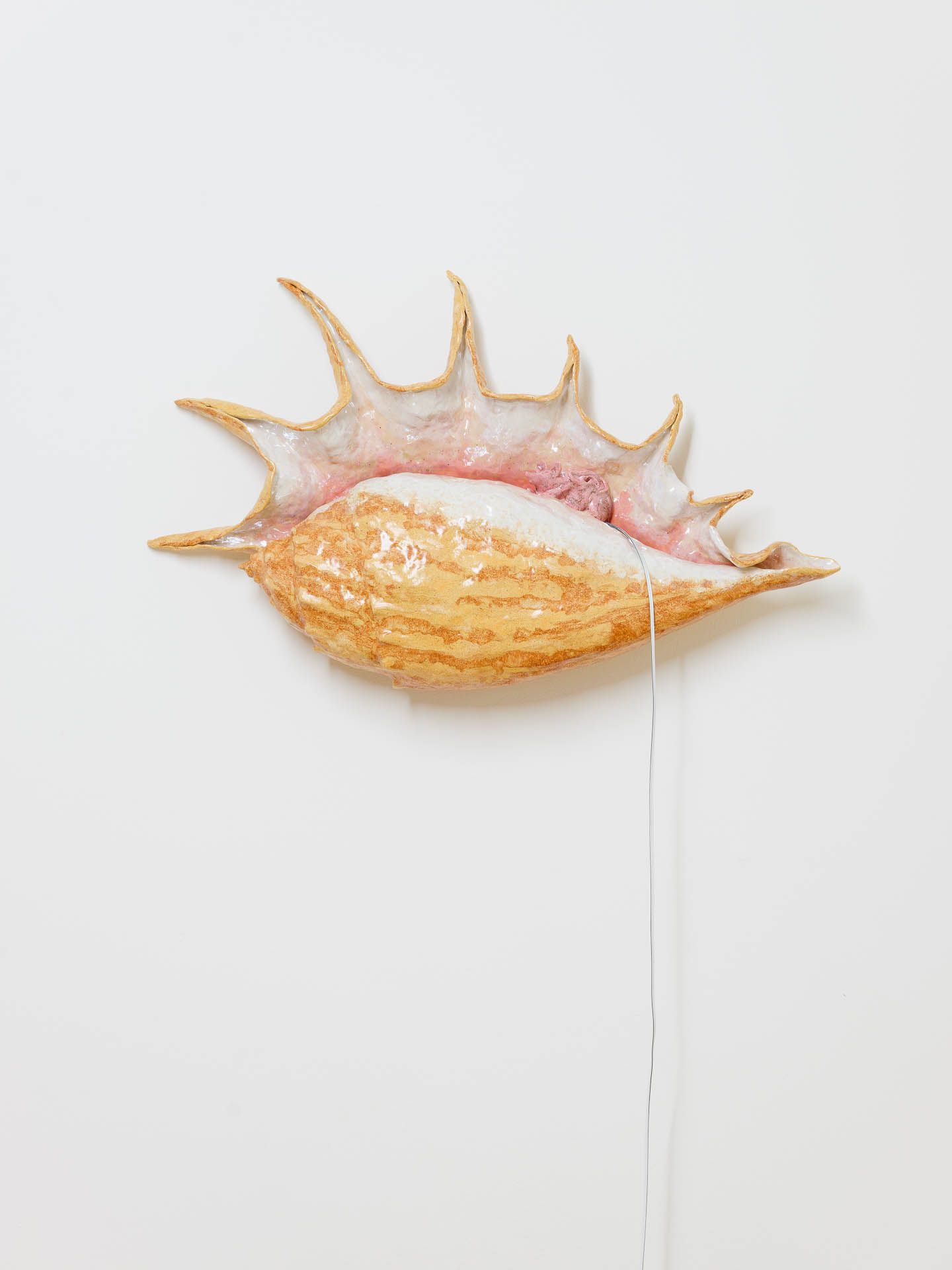 Earmouse (in a seashell I)