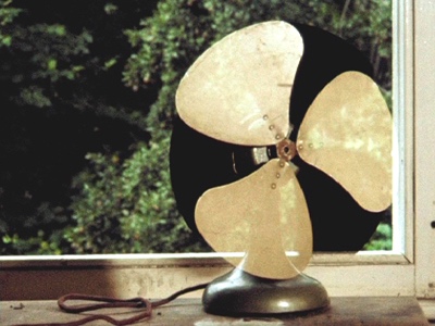 Fan