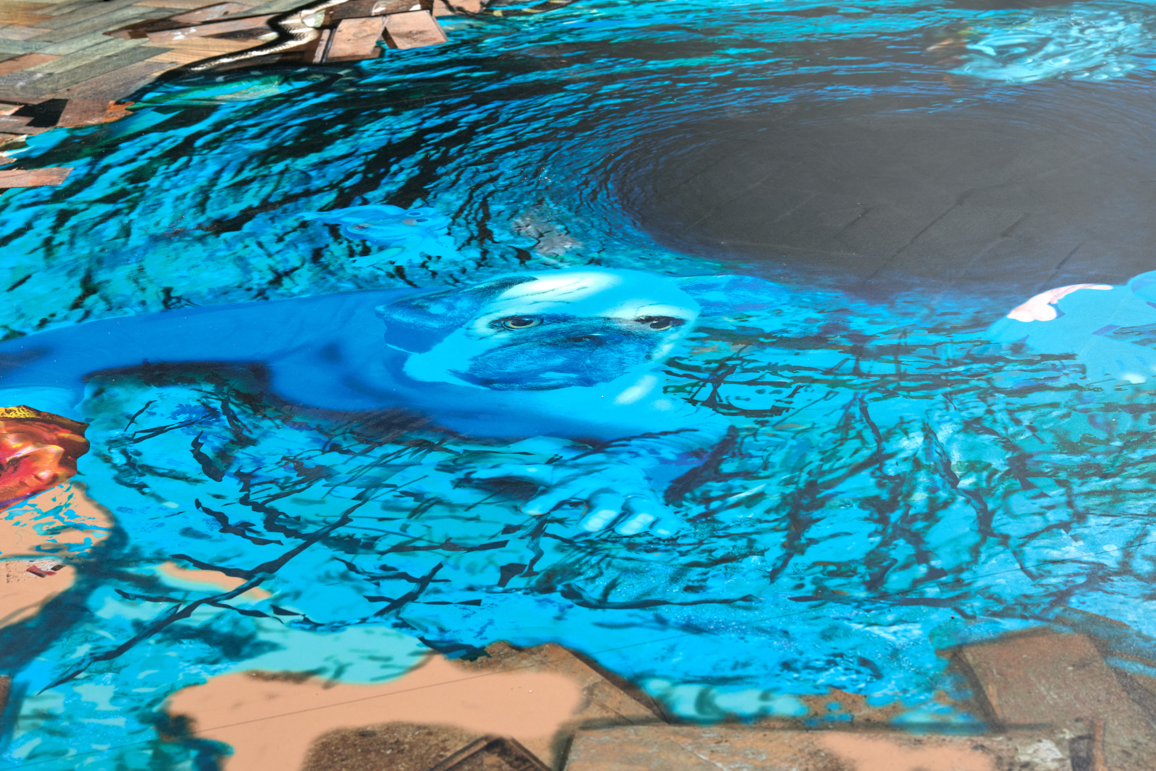 The Floor