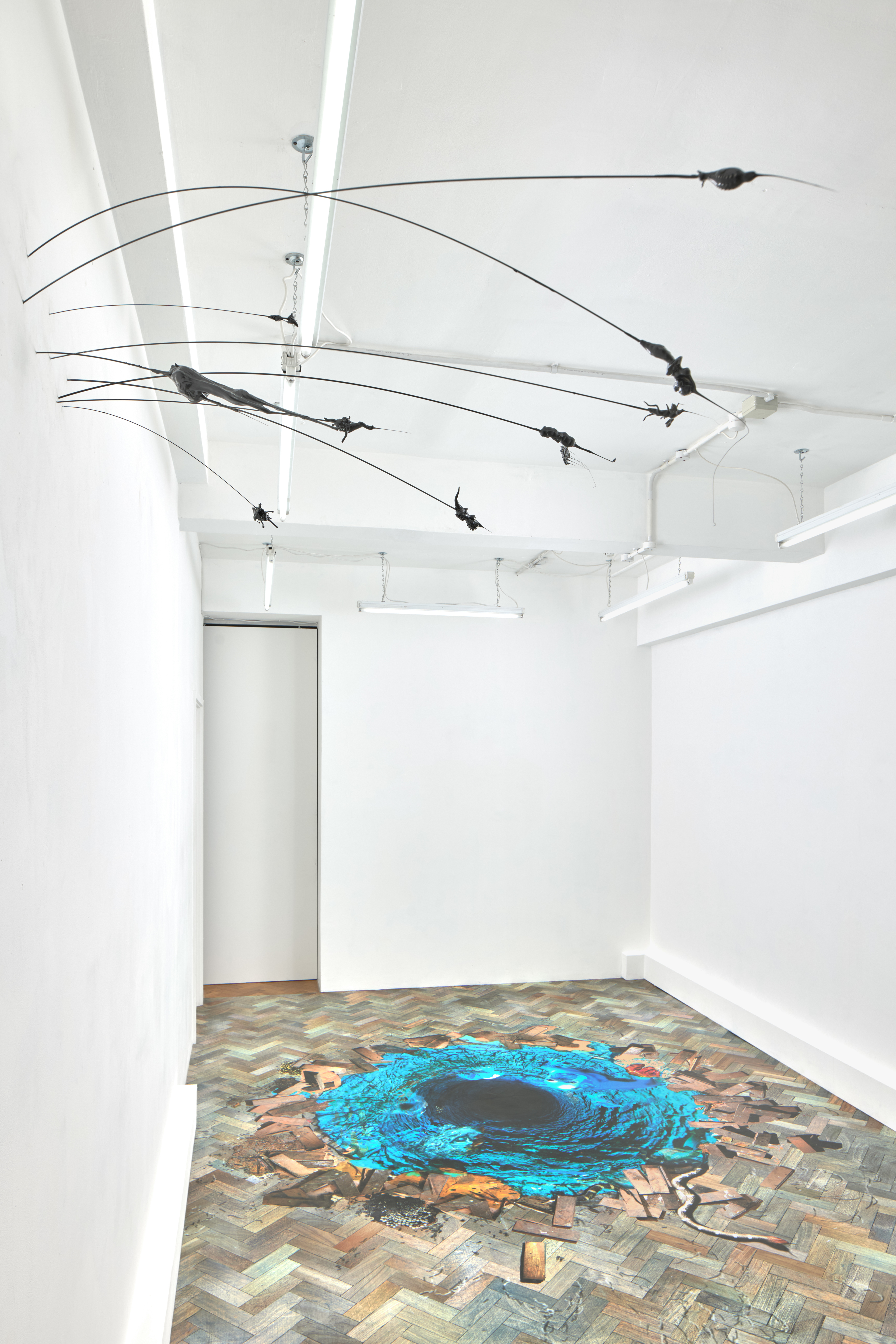 The Floor