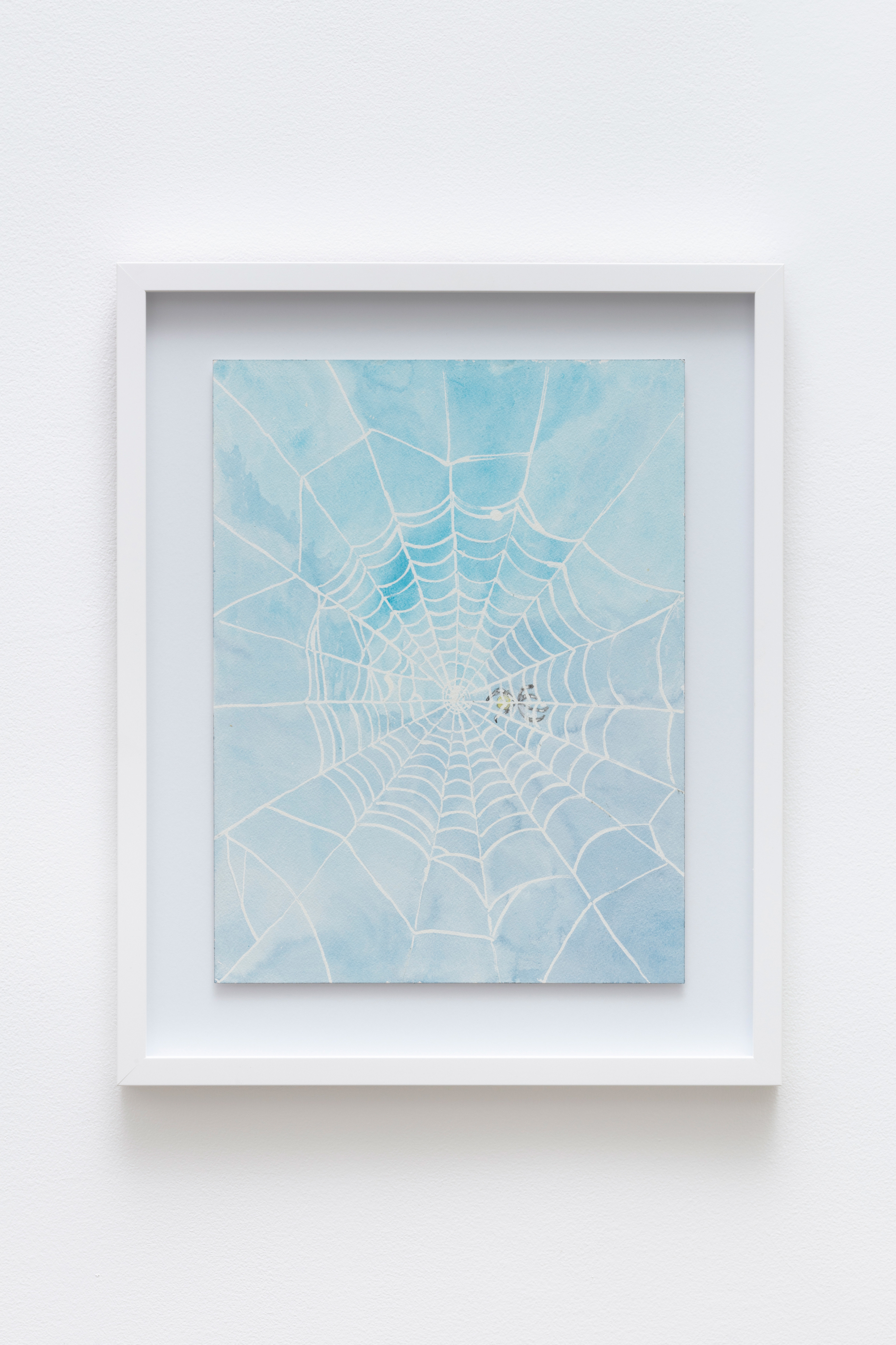 Day lit spider behind their web