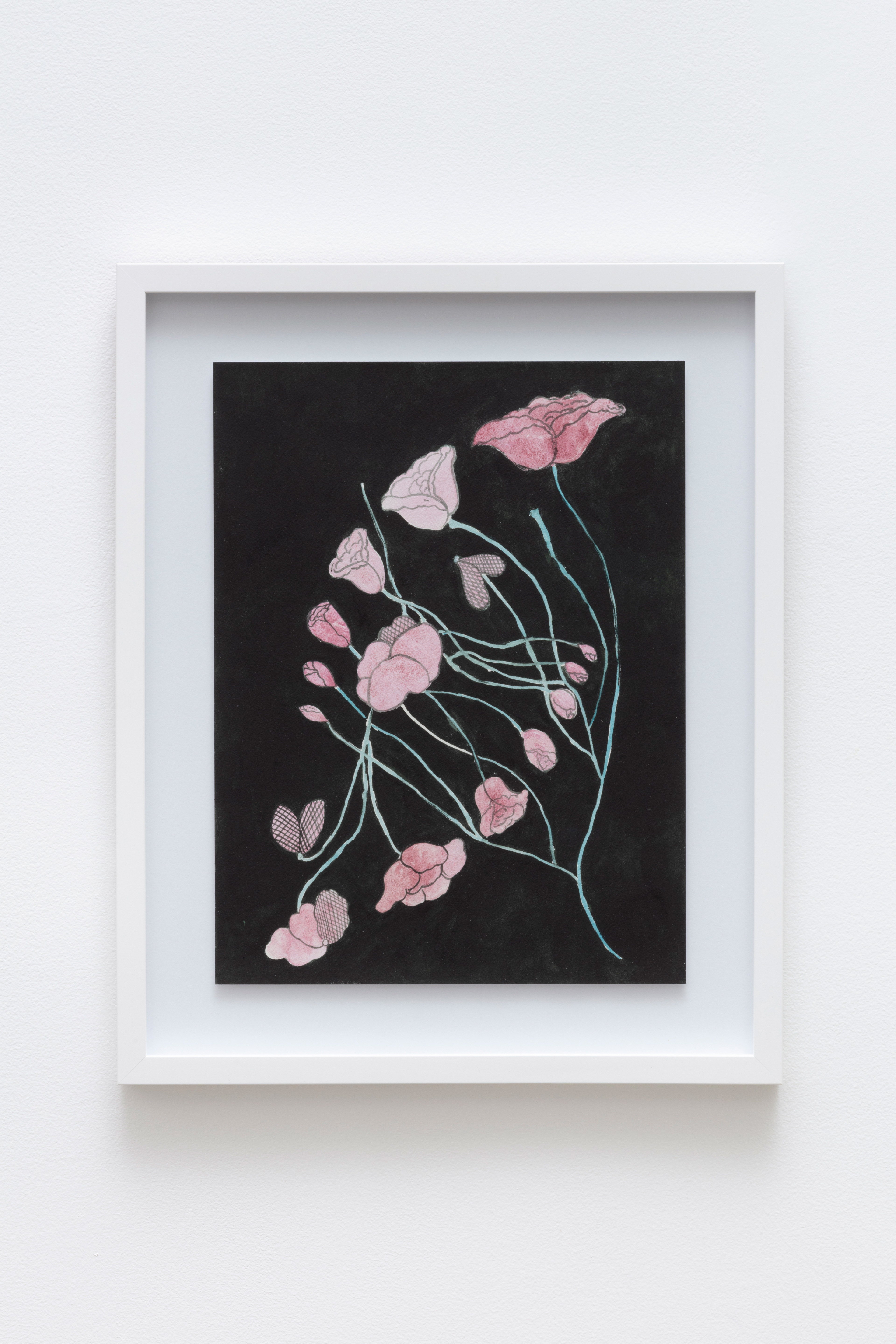 Roses in the states of budding, blooming, aging and dying