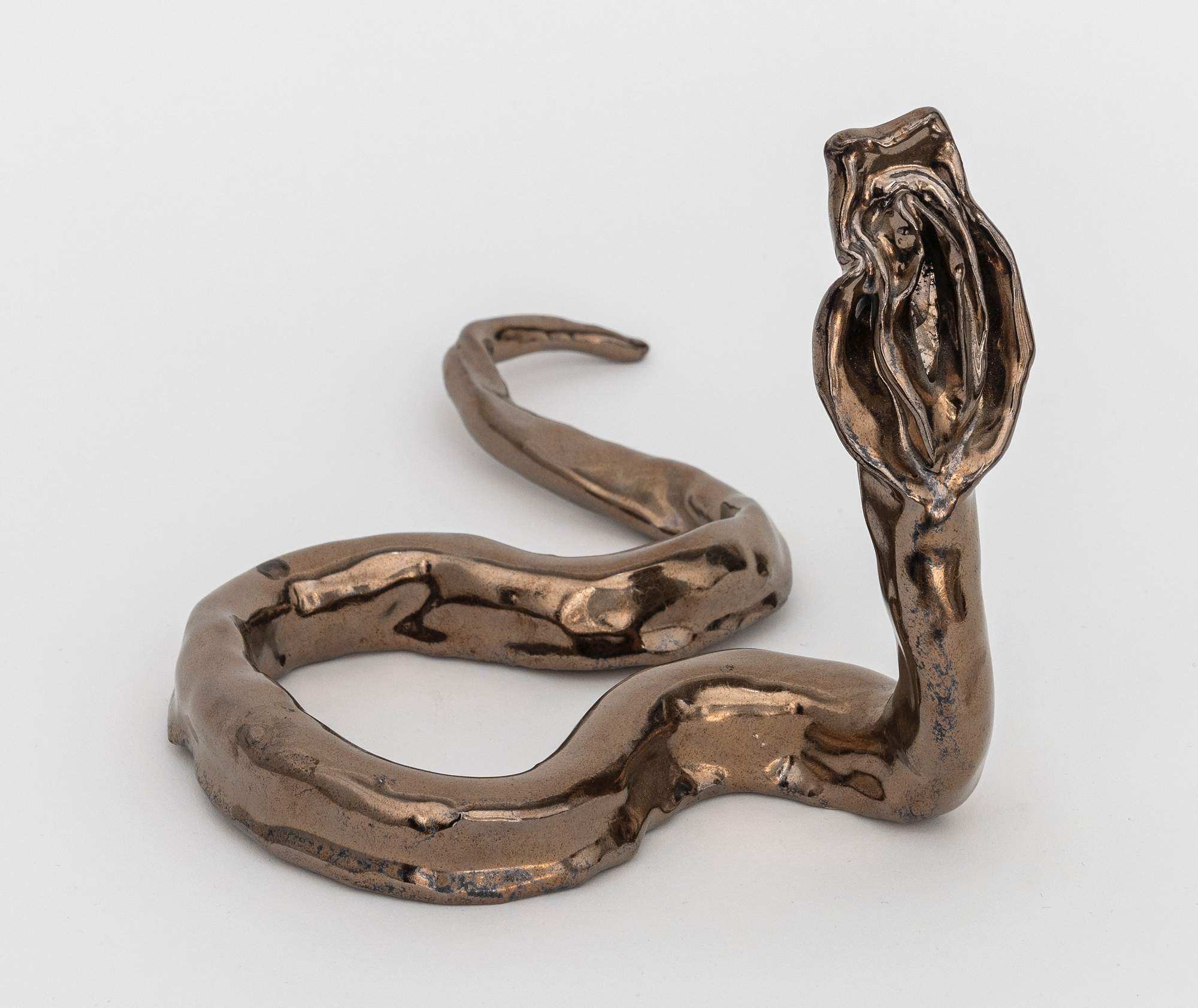 Mecanismo de Evidencia de la Evolución Genital : Female 15